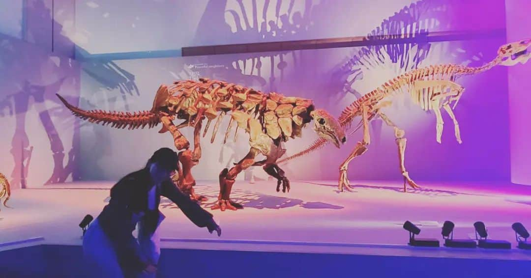 鶴あいかさんのインスタグラム写真 - (鶴あいかInstagram)「#DinoScience #恐竜科学博  ⁡楽しかったー！⁡  ⁡そんなに詳しくないけど、やっぱり実寸大の恐竜の標本を目の前にすると圧倒的で、展示会は図鑑じゃ味わえない感動があるんですよね。⁡ ⁡ ここまでの規模で開催できるのは今年が最後かもしれないと聞いて寂しい気持ちです。⁡ ⁡本当に行けて良かった✨⁡ ⁡⁡ ⁡次はどこで  #恐竜 に会えるかなぁ🦕   ⁡ ⁡⁡ ⁡」9月4日 23時06分 - tsuru_aika