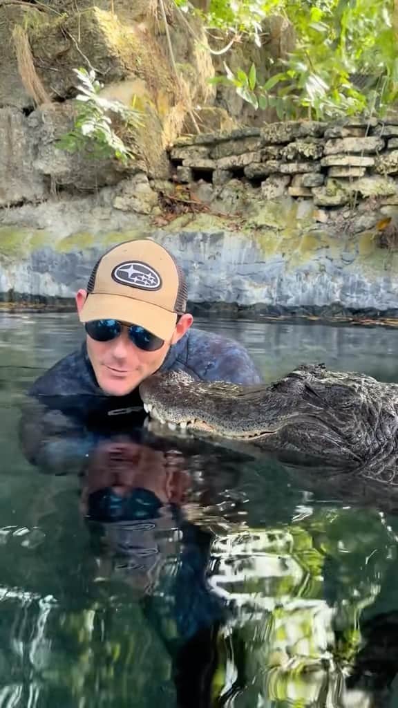 Earth Picsのインスタグラム：「@gatorboys_chris - 🐊 When you love him but he doesn’t love you back ♥️   - check out Chris’s account for more educational content on alligators 🐊」