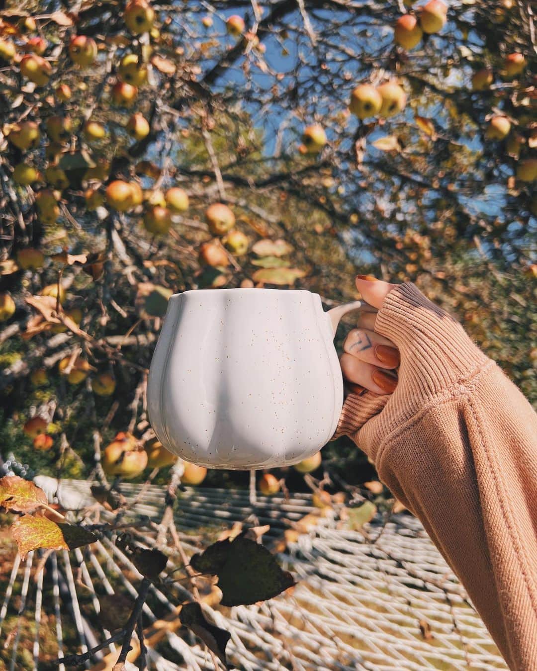 Kalyn Nicholsonのインスタグラム：「September mood board 🍂  1. A salted caramel latte by the apple tree outside. We got four tubs of apples, so I’m challenging myself to try as many apple-related recipes as I can all month.  2. Any waking moment I’m not in mom mode, this is where I’ll be. Hot tea, headphones and many work hours ahead of me.  3. Doing weekly bonfires at the house to work through our burn pile. Plus, it doubles as an inexpensive, ambient date night, no babysitter required.  4. September always makes me want to read Anne of Green Gables. It has such a golden, nostalgic sense and beautiful atmospheric writing that reads like a warm hug in a sunset-feeling month. Book 2 is my current fiction read.  5. Savouring these morning walks, especially as the leaves are just starting to change, knowing in a few weeks time it’ll be too cold, and I’ll envy this ability.  6. Just some pretty September words found on Pinterest.」
