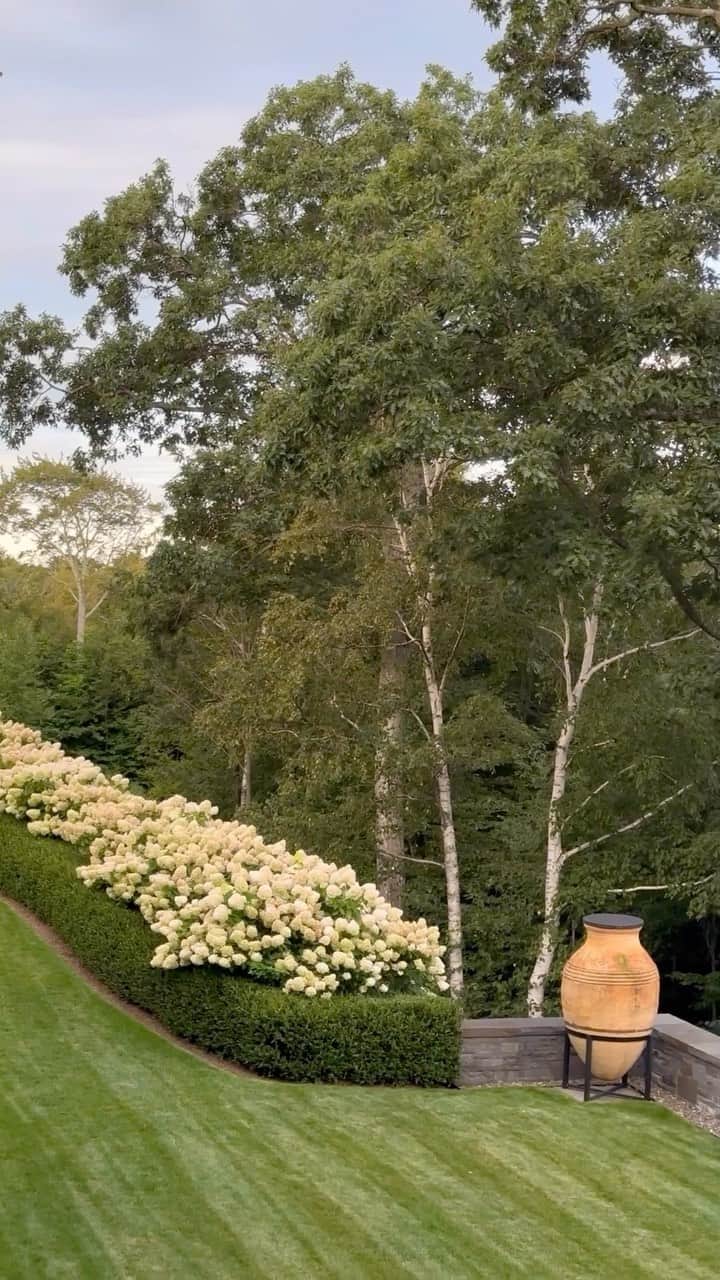 イマン・アブドゥルマジドのインスタグラム：「Blessed to walk around my wall of hydrangeas #gratitue」