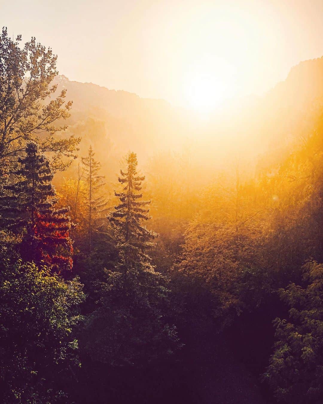 のインスタグラム：「"To say it was a beautiful day would not begin to explain it. It was that day when the end of summer intersects perfectly with the start of fall." - Ann Patchett」
