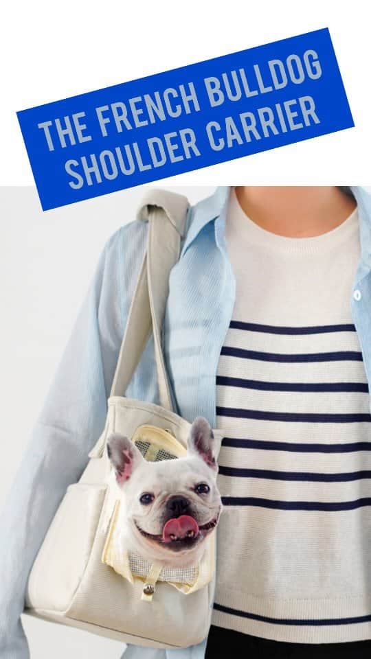 French Bulldogのインスタグラム：「💥🐾 NEW ARRIVALS 🐾💥 The French Bulldog Shoulder Carrier is your ticket to a world of adventure, style, and togetherness with your furry best friend! 💕🐶  . . . . .  #FrenchBulldogLove #FrenchieLife #BulldogNation #FrenchieAdventures #FrenchieFriends #BulldogCuties #FrenchiesOfInstagram #FrenchieDaily #BulldogObsession #Frenchies #frenchiecarrier」