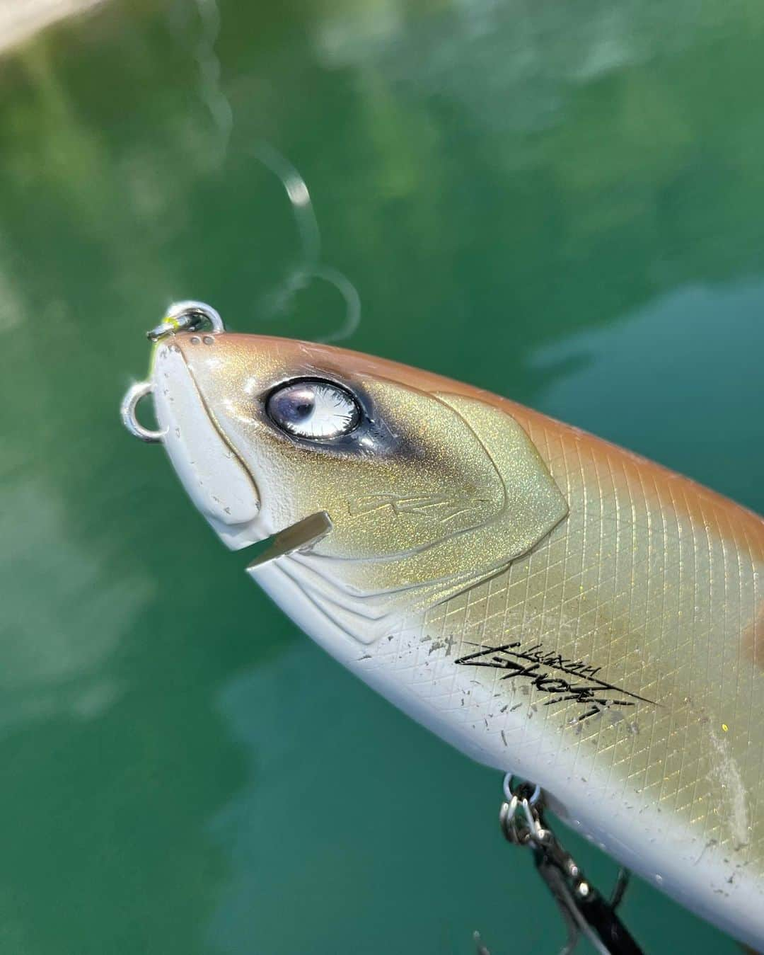 高本采実さんのインスタグラム写真 - (高本采実Instagram)「🎣 【琵琶湖バス同船実釣会】 トランスセンデンスガイドサービスとのコラボイベント！ 好評につき今年も日程限定で開催させていただきました‼️  デカバスが狙える５月、湖上で超絶賑やかな時間を過ごしました✨ ちょうど同時期にハックル10S'フォトコンテストin琵琶湖2023 @huckle_10s も開催中だったので お題のルアーでバス釣りも楽しみ、みんなでエントリーしました🎣🔥  そしたらまさかの私、タカモト当選しました！ ありがとうございます😂✨  それだけじゃなく！！！ 念願のビックベイト、ゴーストで自己記録更新🔥🔥🔥 「56cm、3340g」のデカバスちゃんでした！ まだまだロクマルへの道は長いですが頑張るぞっ！！！  嬉し楽しおもしろしな２日間、ありがとうございました🤩✨  自己記録更新タックル rod：KTX (GTプロトベイト) @transcendence_japan  reel：ビッグシューター @abugarcia_japan  handle：Gハンドル line：40lbフロロ snap：ファストスナップ @bkk_japan  lure：クラッシュゴースト @drtheadz  hook：SPEAR3/0 @bkk_japan   ⛴️ @bikkurimantkd   . . . .  #琵琶湖 #ブラックバス #バス釣り #バスボート #blackbass #bassfishing #トランスセンデンス #琵琶湖バス #ミックバスクラブ #デカバス #transcendence #大物ハンター #アングラー #fishinggirl #钓鱼 #高本采実 #あやみん #ayamistagram」9月5日 19時15分 - ayami__summer