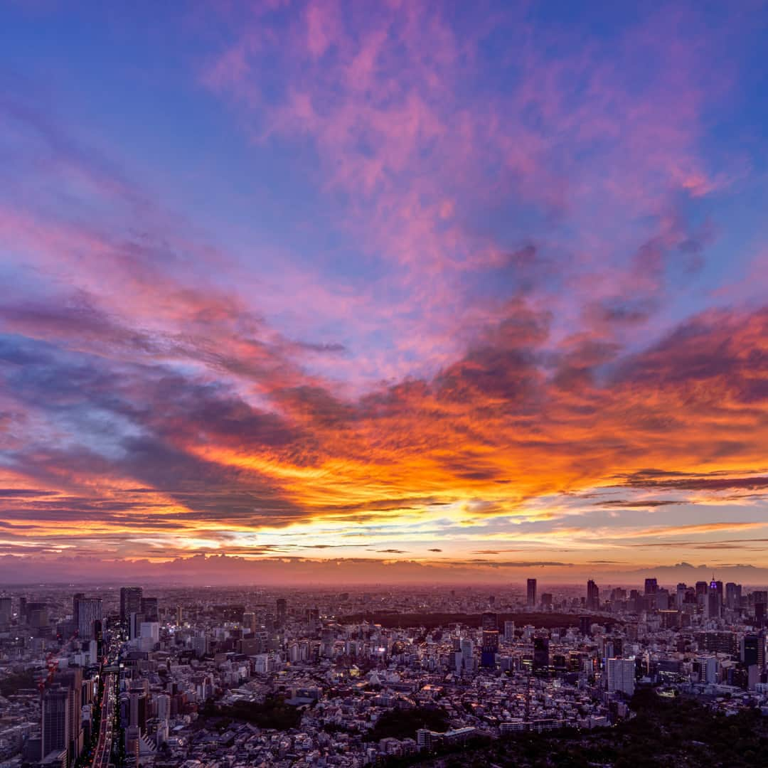 Tokyo City View 六本木ヒルズ展望台さんのインスタグラム写真 - (Tokyo City View 六本木ヒルズ展望台Instagram)「9月に入り、六本木ヒルズ周辺は朝晩過ごしやすくなってきました。スカイデッキでは、秋らしい雲や夕焼けを見られる日も！少しずつ秋の訪れを感じます🍂  🕚11:00～20:00（最終入場19:30） ※雨天、荒天、雷雲発生はクローズ https://tcv.roppongihills.com/jp/  撮影：荒谷良一  #六本木ヒルズ展望台 #スカイデッキ #東京シティビュー #展望台 #夕景 #夕焼け #秋空 #秋 絶景 #景色 #荒谷良一 #RoppongiHillsObservation #skydeck #TokyoCityView #TCV #Tokyo #Eveningview #Sunset #autumn #japantravel #tokyo #roppongi #RyoichiAratani #travelgram #japantrip #japan_daytime_view #japan_of_insta #bestjapanpics #tokyomuseum #artoftheday」9月5日 12時11分 - tokyocityview