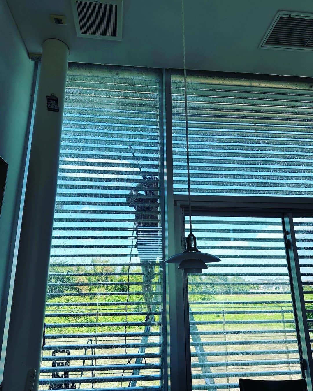 二ノ宮知子のインスタグラム：「旦那が窓の高圧洗浄をしている。 楽しそう。 いい天気だし。 私は一歩も外に出ずに仕事。」