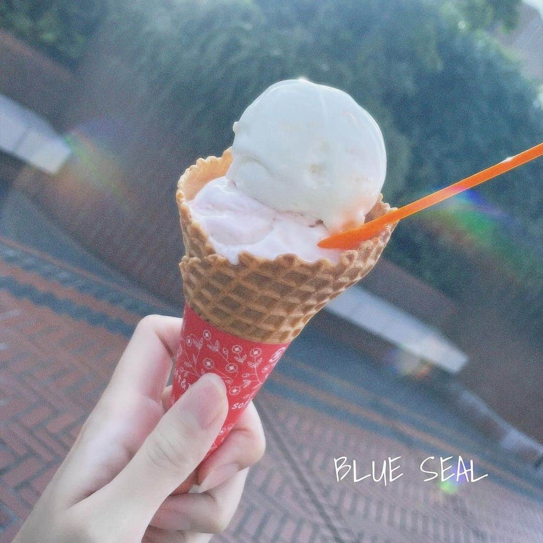 塩野響子のインスタグラム：「⠀ 大人になるにつれて 全然アイス食べなくなったなあ🍦🍧 ⠀ ⠀ でもBLUE SEALとサーティワンは 見つけるとやっぱ気になっちゃう🫠♡ ⠀ ⠀」