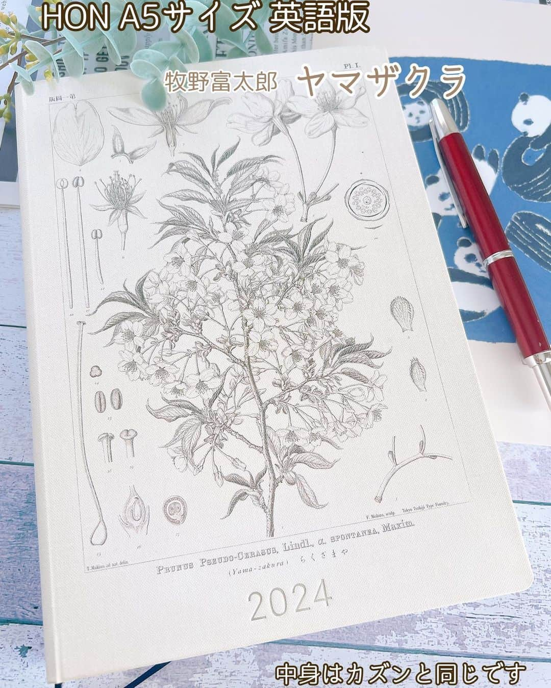 ＊kumi＊さんのインスタグラム写真 - (＊kumi＊Instagram)「2023.09.05.tue.  ほぼ日手帳2024  ストーリーズやスレッズ、そしてインスタライブで散々話したのですっかりpostしたつもりになってました🤣  9月1日、ほぼ日手帳発売日にTOBICHIに行って、気になっていた手帳を買ってきました！  お久しぶりのweeks、再度挑戦のオリジナル、初めましてのカズン…… 3サイズ全て揃えちゃった💕  それもこれもHONが登場したせい(笑) このハードカバーの表紙がガッツリ私の心を掴みまして…😆  そして試し書きした時のキャップレス万年筆との相性が良すぎて、 困ったことに万年筆まで買ってしまいそうになってます💦(←すでに1本持っているのに…！持っていても…！)  @hobonichitecho_official   #ほぼ日手帳2024#ほぼ日手帳カズン #ほぼ日手帳オリジナル #ほぼ日手帳HON#hobonichi #hobonichitecho  #ほぼ日#ほぼ日手帳#ほぼ日weeks#ほぼ日手帳weeks#hobonichi#手帳#スケジュール帳#手帳タイム#ノート#マステ#文房具#文具  (インスタライブの最後にお話ししていた朝活ゲリラインスタライブ、今週中に1回やってみる？ 間違いなく、朝の5時はテンション低いから無言で手帳に字を書くだけの30分よ？🤣 前日に告知とかしちゃってできないと困るから、ゲリラライブになると思うけども😅)」9月5日 12時33分 - kumitea6002