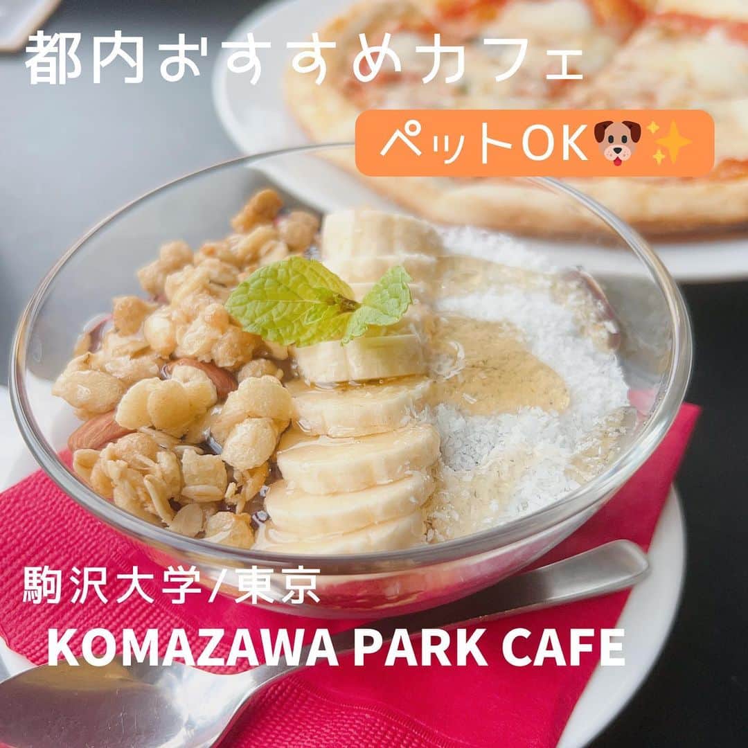 荒木未歩さんのインスタグラム写真 - (荒木未歩Instagram)「先日車の点検で都内に行ったので、 ノアを連れて駒沢公園に 少しだけ遊びに行ってきました🐶✨  でもゲリラ豪雨で全然遊べなかったけど🙄笑笑  雨の様子を見てる間にペットOKのカフェ 『KOMAZAWA PARK CAFE』 に行ってきました🥞  今回頼んだのは、アサイーボウルとマルゲリータ😋 埼玉だとアサイーボウルが食べれるカフェって なかなかなくって、久々だったから 注文してみました😊  相変わらず美味しかった🥰 マルゲリータも生地がモチモチで 美味しかった〜🍕  このカフェはワンちゃんも店内OKなんだけど 少し前にルールが変わったみたいで ワンちゃんは床のみで、シートを敷いた椅子の上や 飼い主さんの膝の上にも乗せちゃダメ になったようでしたので行く方は気をつけてください🐶  #駒沢公園 #ドッグラン #駒沢大学駅 #ドッグカフェ #カフェ巡り #都内ランチ #散歩 #アサイーボウル #駒沢大学グルメ」9月5日 13時15分 - mihoaraki__official