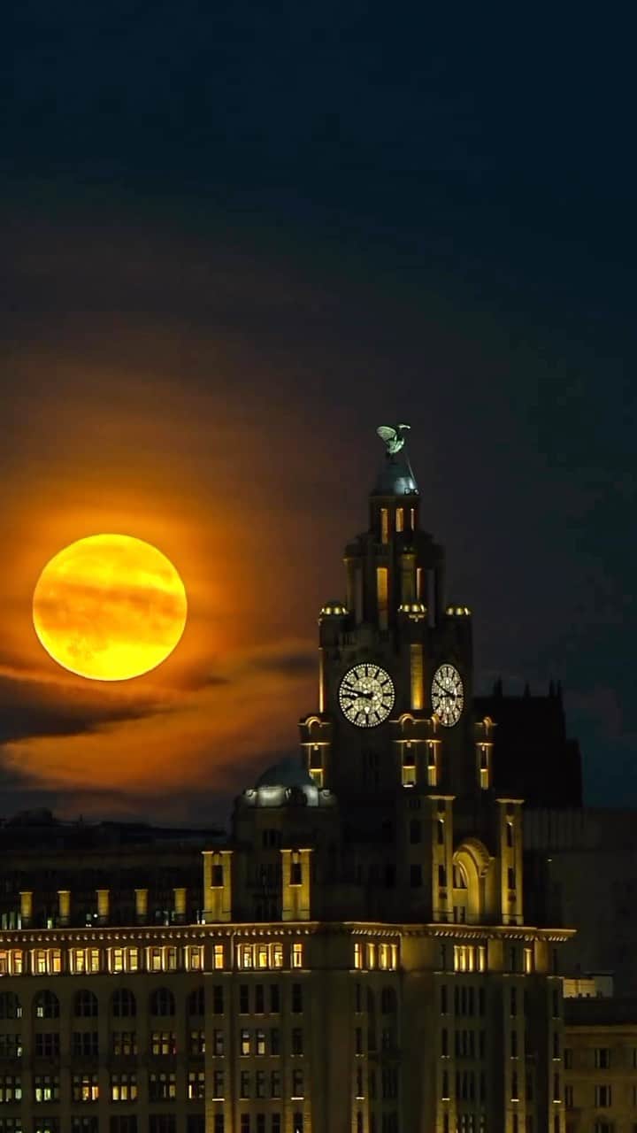 Instagramersのインスタグラム：「@igersuk  The rare Super Blue Moon over the Royal Liver Building in Liverpool this week 🌕🌑  Stunning 🎥 📸 by @dronecapturedmoments 👏🏻👏🏻💯  Today’s #featureoftheday chosen by 🍊 @carlmilner 👍🏻🙌🏻  Featured by @igersmersey on the @igers Network 💯👍🏻  —————————————————— Want to be featured at IgersUK?  All you need to do is tag us at @igersUK —————————————————— IgersUK Admin Team: @sunflowerof21 @carlmilner @hellimli @marticaboguszy @jhyattphoto @masonjartours」