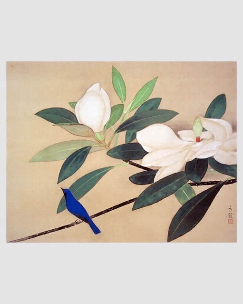 岡田育さんのインスタグラム写真 - (岡田育Instagram)「Our 10th anniversary dinner @rafsnewyork #rafsnewyork 👘🥖🐕 The obi was taken from “a bluebird and a magnolia tree” by #kokeikobayashi   ご近所とはいえちょっといい店で食事するのでサンダルが憚られ、久々に白足袋でも履くか、と思ったものの、フォーマルに寄せるほど間違い探し的に裄不足が目立つ。来世はマイサイズの夏着物を仕立てたい。泰山木だから既に季節外れではあるがオオルリなので「Twitter追悼」、今春夏この帯ばかり締めていた。  #夏着物 #夏着物コーデ #ポリ絽小紋 #洗える着物  #半幅帯 #白華小禽 #小林古径 @gofukuyasan  #カルタ結び #acrylicbag  #キモノ #リサイクル着物 #着物女子 #kimonofashion  #japanesekimono  #👘🔰 #着物修行中  #kimonostyle #kimonofashion  #着物スタイリング #カジュアル着物 #普段着着物 #kimonolovers #着物好き」9月5日 6時03分 - okadaic