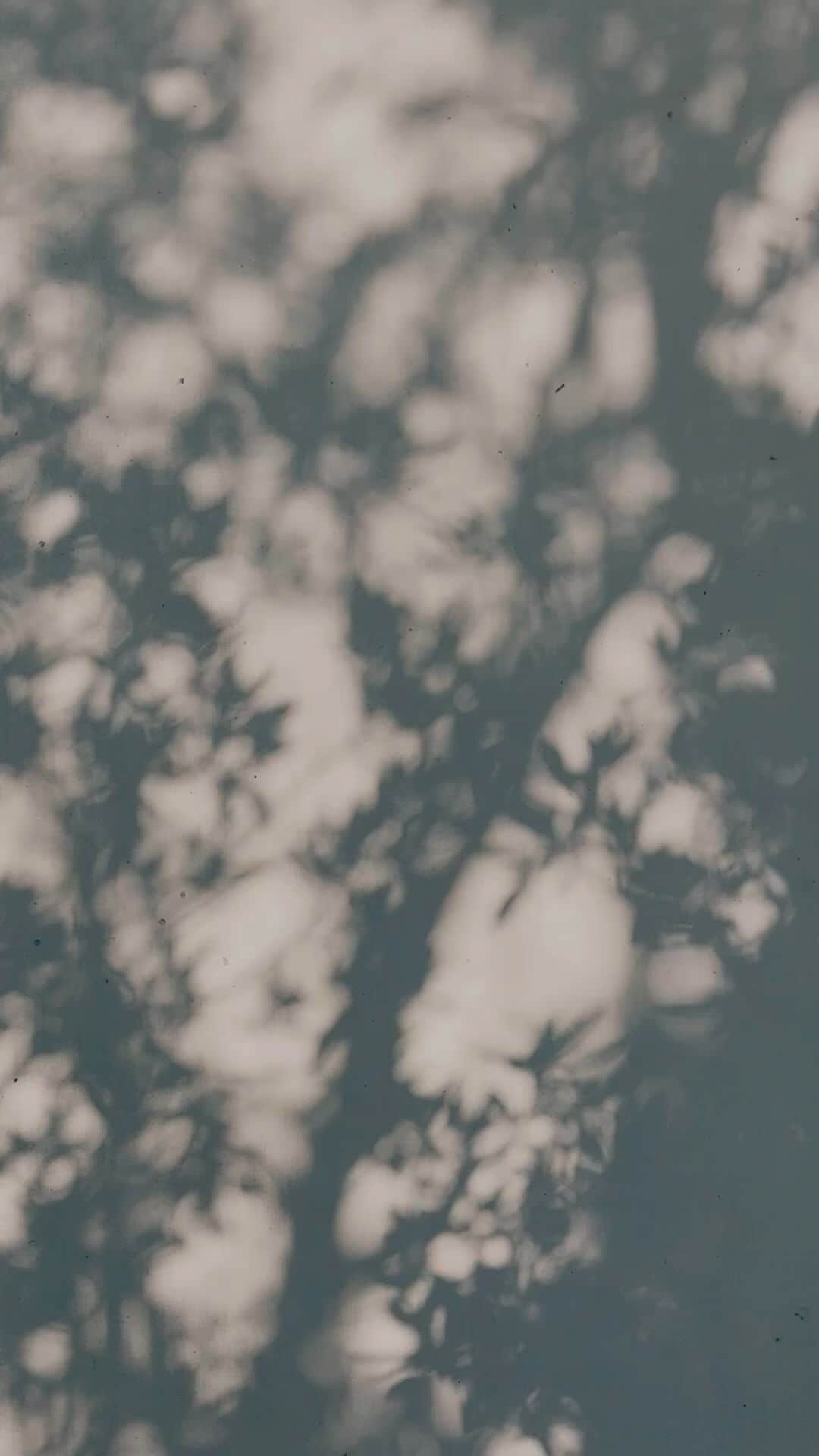 Daniel Waldronのインスタグラム