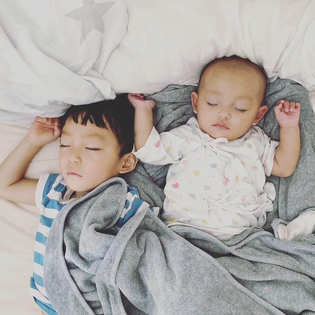 YOPPYのインスタグラム：「. 昨日も本当大変な1日で 鬼に化けていたが 帳消しの朝が来た  ごめんね と眺めながら瞑想」
