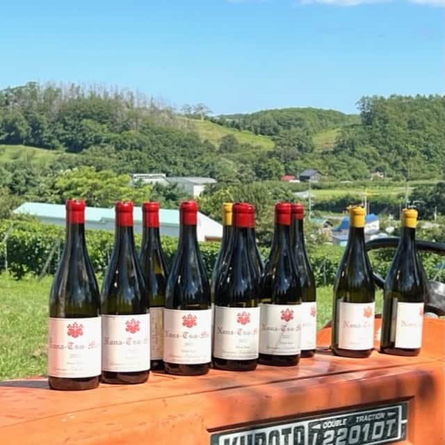 poroco（ポロコ）さんのインスタグラム写真 - (poroco（ポロコ）Instagram)「La Fête des Vignerons à YOICHI 「余市ラフェト2023」に行ってきました！🍷✨   余市町に全国のワイン愛好家が集結する大人気のイベントです🥂 ドメーヌ・タカヒコのナナツモリ全体を眺められる展望台もできました👀✨  詳しくはporoco WEBサイト レポート記事をチェック！ https://www.poroco.co.jp/newsreport/2325/ @poroco_magazine ストーリーズ•ハイライトからもリンクしています  #余市ラフェト2023 #余市ラフェト #ドメーヌユイ #ピノノワール #ドメーヌタカヒコ #ドメーヌアツシスズキ #余市町 #余市町登地区 #余市sagura #liftup #ニキヒルズワイナリー #hatsuyuki #キャメルファームワイナリー #ワインイベント #ワインスタグラム #wine #winestagram #yoichi #hokkaido #poroco」9月5日 13時26分 - poroco_magazine