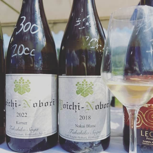 poroco（ポロコ）さんのインスタグラム写真 - (poroco（ポロコ）Instagram)「La Fête des Vignerons à YOICHI 「余市ラフェト2023」に行ってきました！🍷✨   余市町に全国のワイン愛好家が集結する大人気のイベントです🥂 ドメーヌ・タカヒコのナナツモリ全体を眺められる展望台もできました👀✨  詳しくはporoco WEBサイト レポート記事をチェック！ https://www.poroco.co.jp/newsreport/2325/ @poroco_magazine ストーリーズ•ハイライトからもリンクしています  #余市ラフェト2023 #余市ラフェト #ドメーヌユイ #ピノノワール #ドメーヌタカヒコ #ドメーヌアツシスズキ #余市町 #余市町登地区 #余市sagura #liftup #ニキヒルズワイナリー #hatsuyuki #キャメルファームワイナリー #ワインイベント #ワインスタグラム #wine #winestagram #yoichi #hokkaido #poroco」9月5日 13時26分 - poroco_magazine