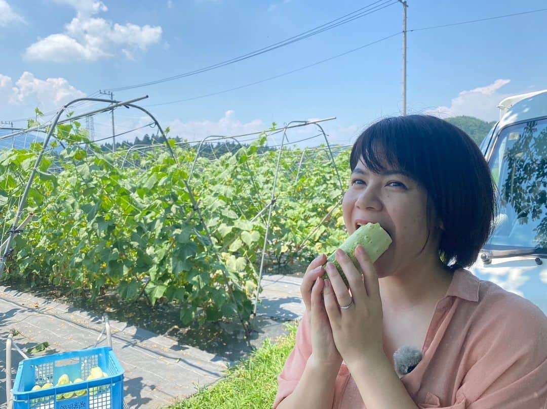 能登瑶子さんのインスタグラム写真 - (能登瑶子Instagram)「今夜の『ぐんまトリビア図鑑』は県内北西部に位置する高山村で生産されているきゅうり🥒 普通のきゅうりとはちょっと…いや、だいぶ見た目が違う『高山きゅうり』ご存知ですか？(^^)✨ 久しぶりの農作業のお手伝いはJAみどりの風の撮影を思い出して、楽しいロケでした🌟  さて、伝統野菜となっている高山きゅうりにはどんな歴史があり、どの様に栽培され食されているのか？群馬の食に迫ります！( ^ω^ )💖  放送:群馬テレビ夜9時〜 　　（再放送9日/11日） ※動画アプリ エムキャスでも配信中  #高山きゅうり#伝統野菜#珍しい#巨大#野菜#白い#きゅうり#農作業#久しぶり#楽しかった#群馬テレビ#群テレ#gtv#フリーアナウンサー#リポーター」9月5日 8時38分 - noto.1281