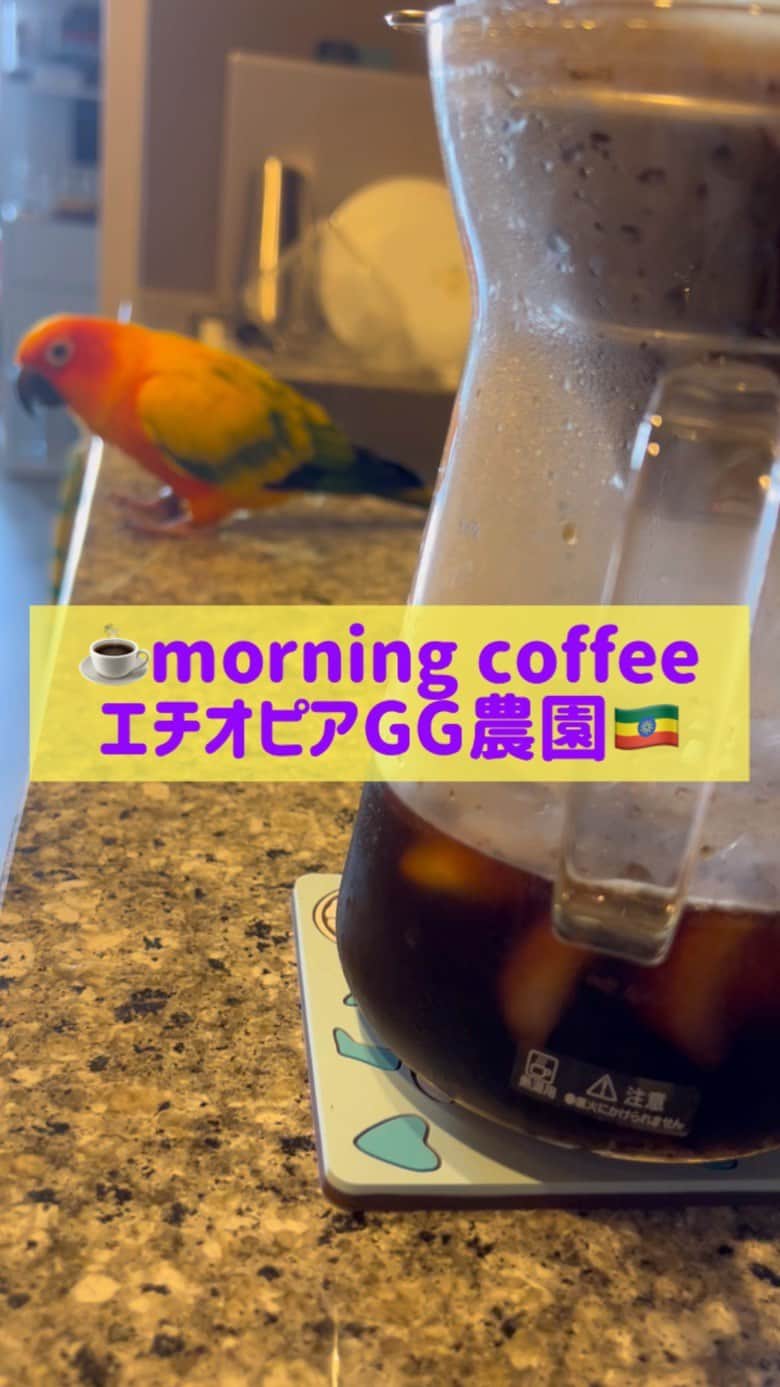 松下シュートのインスタグラム：「. icecoffee☕️  #coffee #coffeetime #cafe #☕️ #bird #🦜 #starbacks #スタバ」