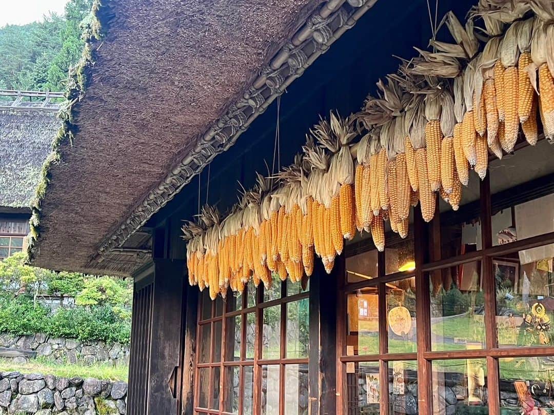 依田司さんのインスタグラム写真 - (依田司Instagram)「9月5日（火） 山梨県富士河口湖町「西湖いやしの里根場」から。 富士山と茅葺き屋根の家屋が並んだ光景から「日本一美しい」と称された集落がありました。 しかし、1966年9月、続いた長雨と台風の猛威により、一夜にして集落は消失。 その美しい風景を復元し、地域の伝統文化と、その被害を伝承する施設として、その被災地の上に誕生しました。 「練香」や「へら彫金」など、珍しい制作体験ができる施設や、山梨の郷土料理「ほうとう」を頂けるお店も。 ゆったりとした時間の流れる空間で、日頃のガス抜きは如何ですか。    #西湖いやしの里根場 #富士山 #依田さん #依田司 #お天気検定 #テレビ朝日 #グッドモーニング #気象予報士 #お天気キャスター #森林インストラクター #グリーンセイバーアドバンス #プロジェクトワイルド #IPCC伝導者 #japan #japantrip #japantravel #unknownjapan #japanAdventure #japanlife #lifeinjapan #instagramjapan #instajapan #療癒 #ilovejapan #weather #weathercaster #weatherforecast」9月5日 8時47分 - tsukasa_yoda