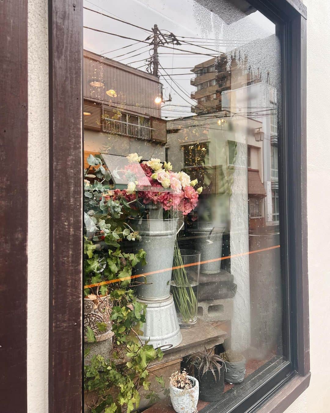 菅谷梨沙子さんのインスタグラム写真 - (菅谷梨沙子Instagram)「野ばらが出ていたのでお持ち帰り。 玄関に飾ってみたけど、存在感あってとってもいい感じになった！  毎週お花屋さんへ行くんだけど、少しずつ秋のお花たちが増えてきた☺️🍂🍁」9月5日 11時36分 - risako_sugaya