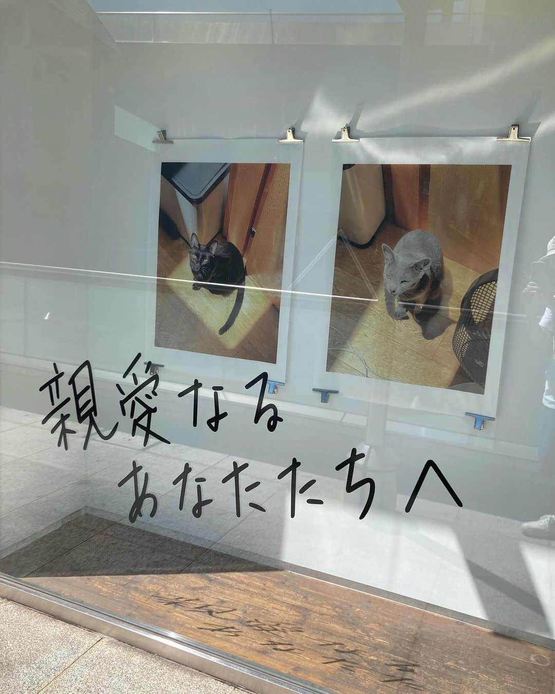 山田義孝さんのインスタグラム写真 - (山田義孝Instagram)「🐈🐈‍⬛🐈 フォルムも色味も構図もサイズも心踊る✨ こだわりが細部に宿っているのに緊張感を与えさせない。 『きもち良い』を描く天才だと思う。 橋爪さんの個展これてよかった🔥 @yuyahashizume  #親愛なるあなたたちへ」9月5日 21時11分 - yamadayositaka