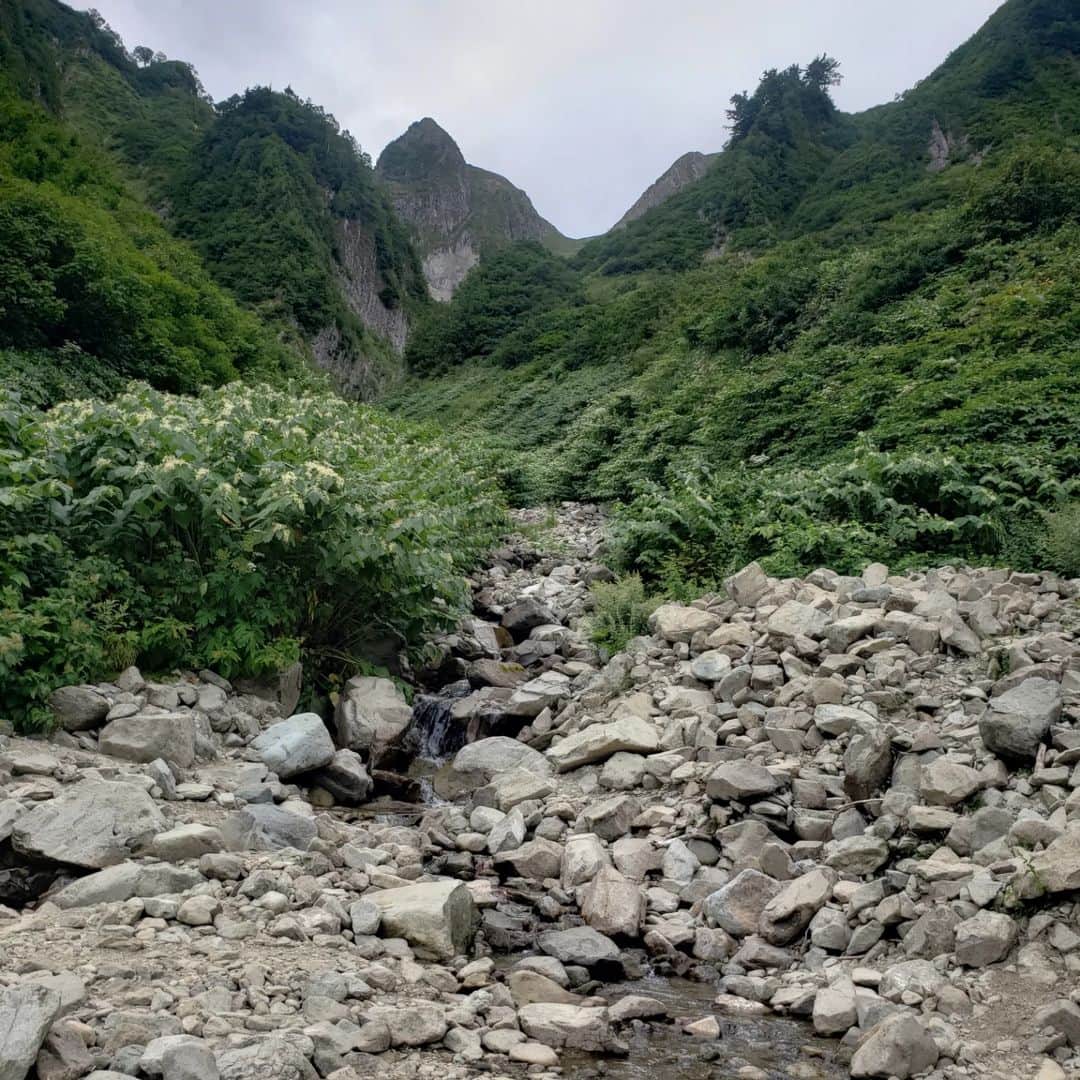 鏑木毅さんのインスタグラム写真 - (鏑木毅Instagram)「どうしても 踏みたかった 山頂へ。 長野と新潟の県境にある 雨飾山です。 この山は 日本百名山の 著者である 深田久弥さんが とりわけ 愛した山で 以前から気になる存在でした。 近くに 北アルプスがあるため どうしても そちらに目移りしてしまい 長く訪れることができませんでした。 スタートが夕方に近かったので 夜間行動 を覚悟していましたが日のあるうちに戻ることができました。 登山者にはほとんど会うことなくこの名山を独り占めしてるような贅沢な時間でした。そして 締めは小谷温泉の外湯。 源泉かけ流しの良質な泉質で 疲れが癒されます。 ※ 雨飾山の登山道は三点支持が必要な岩場が結構あり、 山経験が少ない方は山慣れた方と同伴された方が良いかな と思いました。 #トレイルランニング #thenorthfacejapan #tnfjp #thenorthfaceathlete #essサングラス #gontex #アスタビータスポーツ #雨飾山 #日本百名山」9月5日 21時27分 - tsuyoshikaburaki