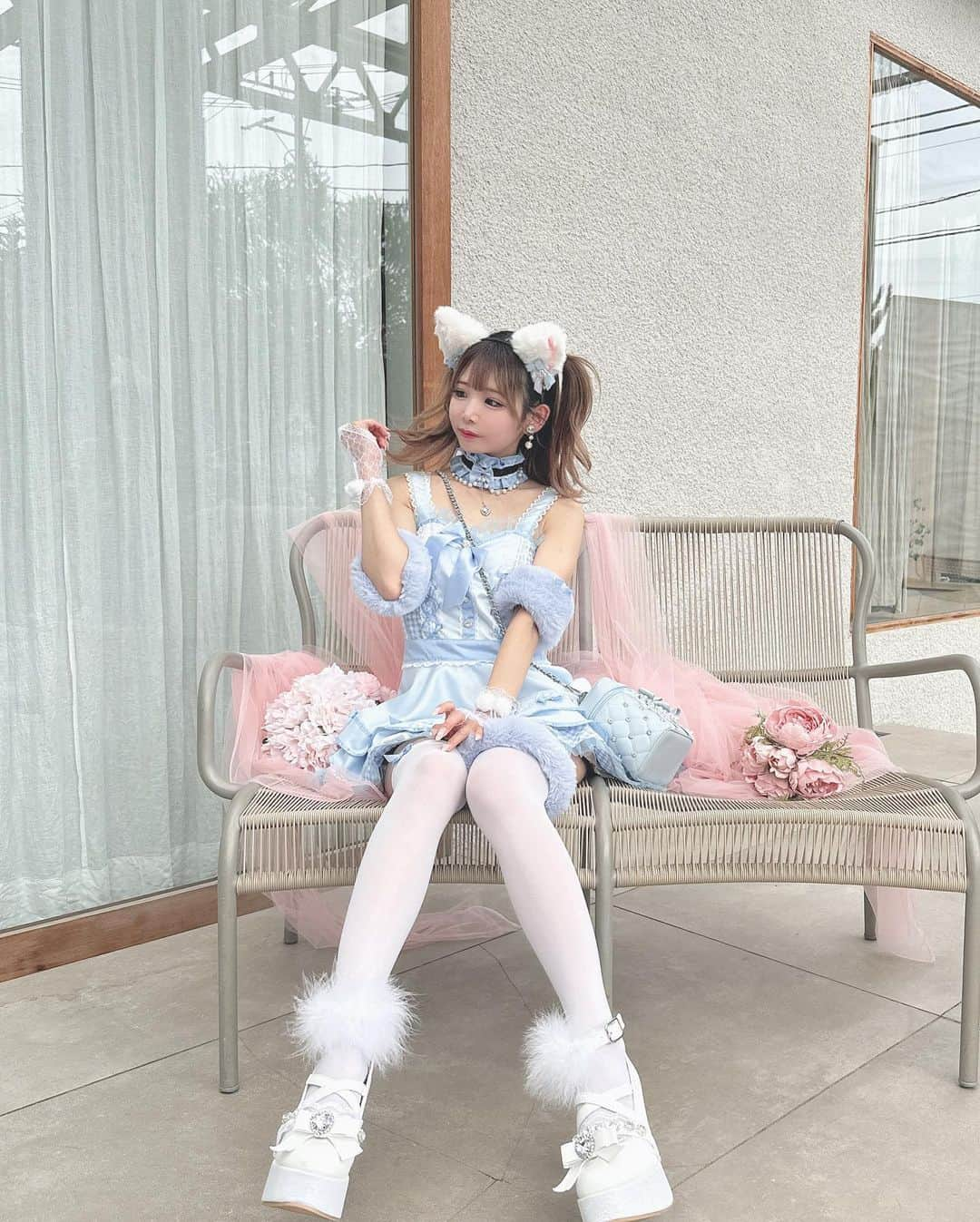 姫宮まほれのインスタグラム：「🐾🤍   水色ねこちゃん  costume @malymoon1991   bag shoes /ankrouge  #malymoon #マリームーン #ハロウィンコスプレ #ハロウィン仮装  #猫耳 #ねこみみ #量産型コーデ #量産型ヲタク #アイドル衣装  #創作コスプレ  #コスプレ#コスプレイヤー#コスプレ衣装#コンカフェ嬢#自撮り女子#萌妹子#性感内衣#情趣内衣#instagravure#Cosplay#kawaiicosplay  #InstaCosplay #gravure#角色扮演者 #japanesekawaii   #コスプレ撮影会 #撮影会モデル」