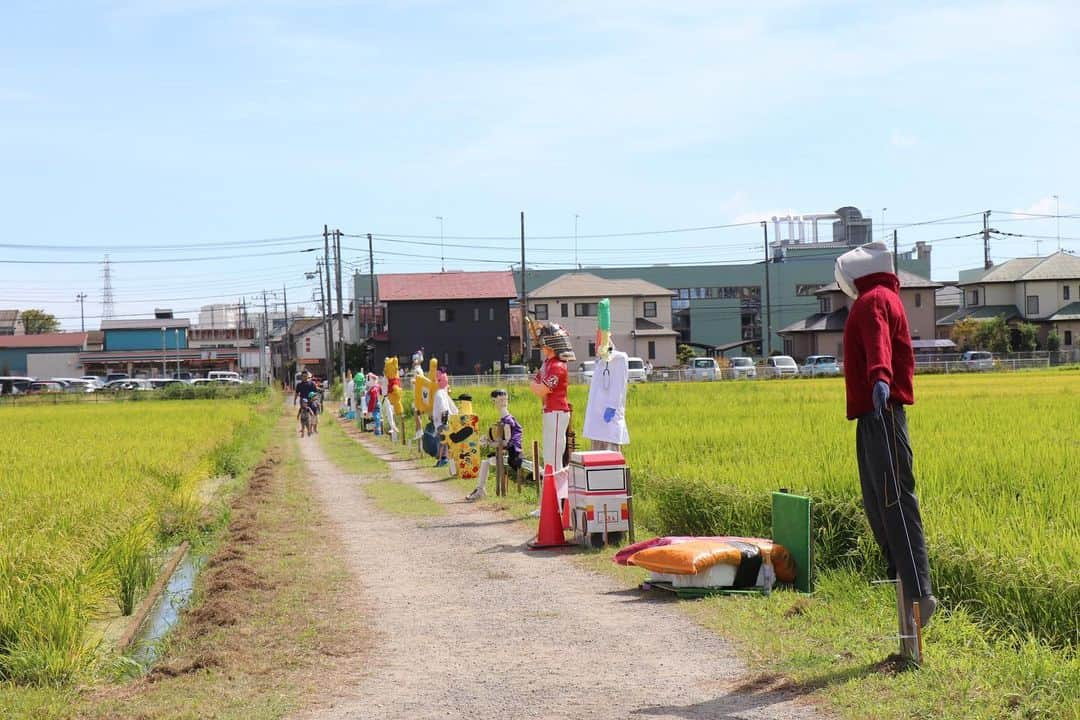 海老名市のインスタグラム：「中新田地区の田んぼで「第31回中新田かかしまつり」が開催されています。 アイデア溢れるかかしを、ぜひ見に来てくださいね✨  【展示場所】中新田コミセン北側の田んぼ 【展示期間】９月17日（日）12時まで  📷 #好きです海老名 写真募集に、ぜひご応募ください！ 詳しくは、@ebina_officialのプロフィールより、公式サイトをご覧ください。 ご応募、お待ちしています！  #好きです海老名 #住みたい住み続けたいまち海老名 #海老名 #神奈川 #ebina #写真募集 #写真 #募集 #秋 #中新田 #かかし #かかしまつり #田んぼの風景」