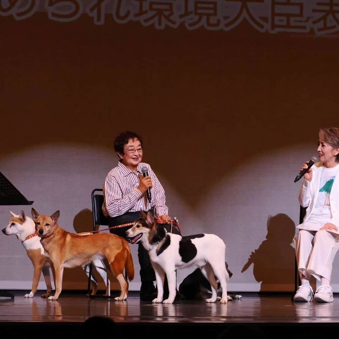 安奈淳さんのインスタグラム写真 - (安奈淳Instagram)「動物保護のチャリティーコンサート『いのちの木陰』無事終了いたしました‼️ 失敗もありましたが😅出演者、スタッフ全員のチームワークで何とか乗り越えることができました🙆 佐良さんの歌も素晴らしかった～  この活動にお心を寄せて下さった皆様、本当に有難うございました。 心から感謝申し上げます。 この先も継続できますよう。引き続き宜しくお願いします🙇  とりあえずホッとしました。 でも正直疲れた～💦  #いのちの木陰 #安奈淳」9月5日 14時07分 - annajun0729