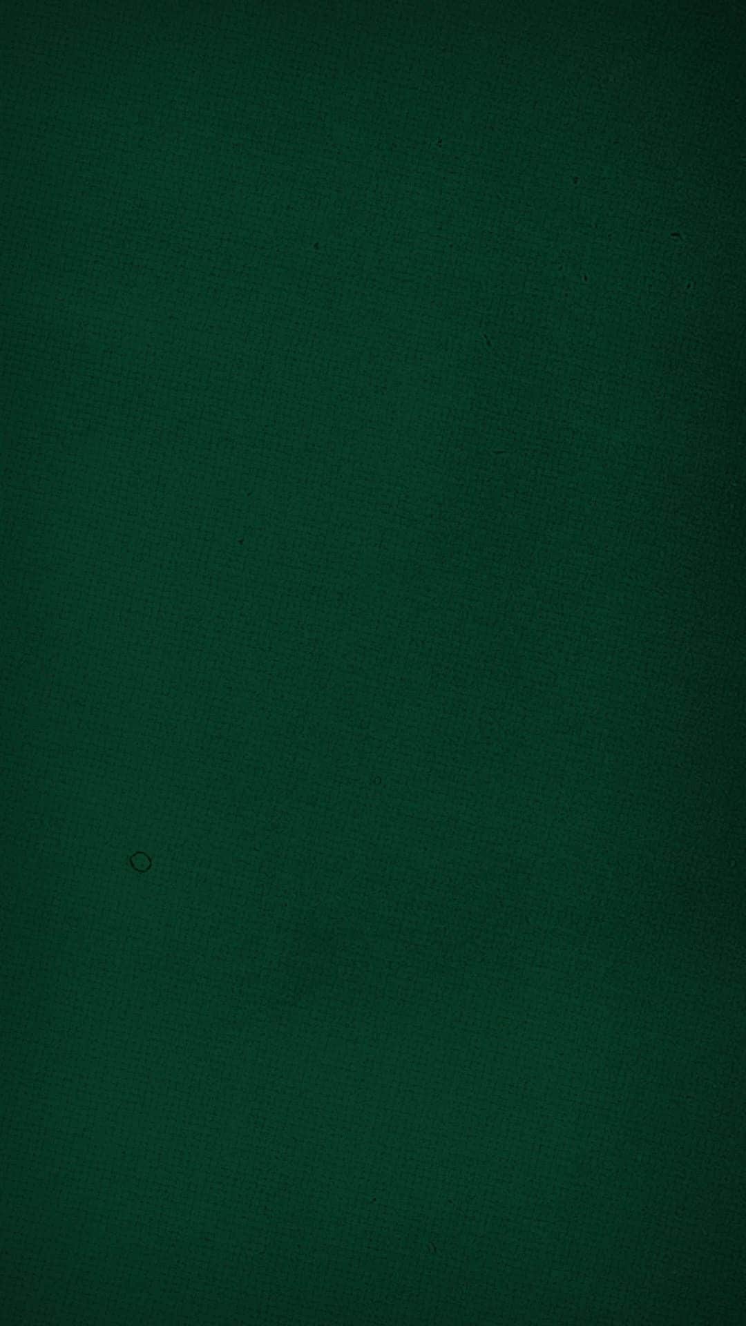 ドーメルのインスタグラム：「"An easy way to find your match and show up as the one and only" Forever Green presented by Aline Galimberti  #dormeuil #luxurytailoring #tailormade #luxuryfabrics #bespoketailoring #luxurynaturalfibers #ethicalcloth #sustainablefashion #sustainableluxury #1842paris #forevergreen」