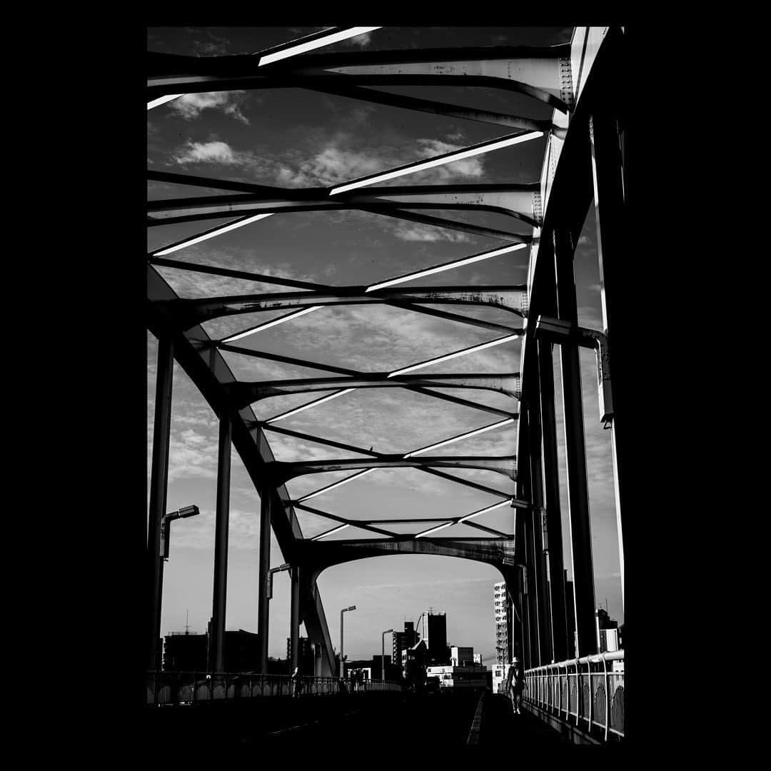 のインスタグラム：「熊本の思い出。🚶🐦‍⬛🕊️📷」