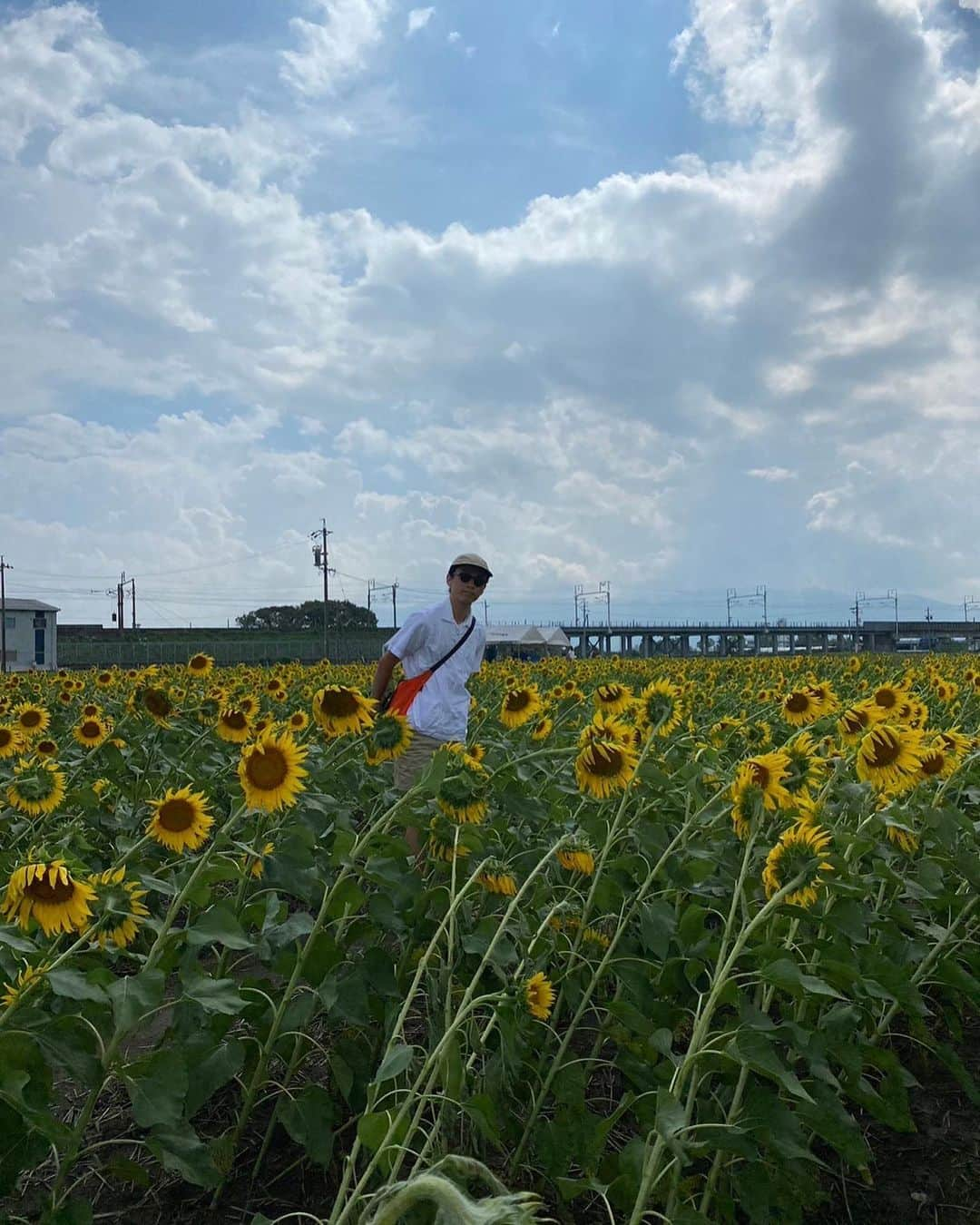 古田敬一さんのインスタグラム写真 - (古田敬一Instagram)「向日葵…だよ？  eyewear #moscotlemtosh  cap #filson tops #battenwear pants #yellowrat  #ivylook#ivyfashion#ivystyle#trad#tradstyle#tradfashion#traditional#outdoor#outdoorstyle#outdoorfashion#oldsurf#madeinusa」9月5日 15時36分 - keiichi_furuta0721