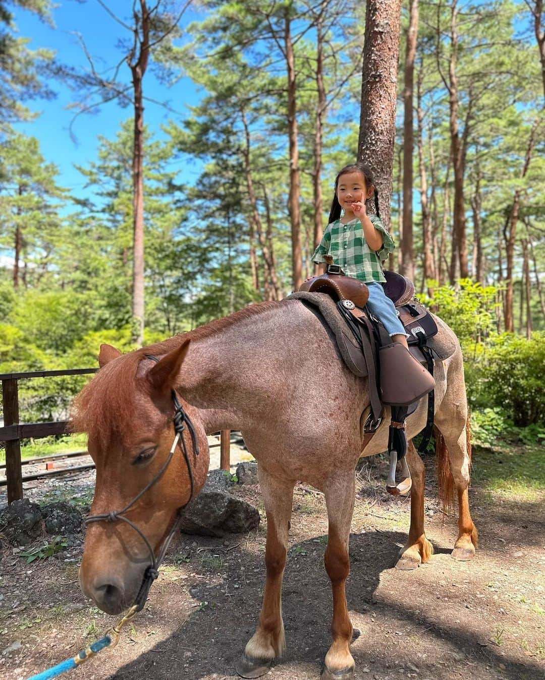 菊井彰子さんのインスタグラム写真 - (菊井彰子Instagram)「・ ・ 【富士すばるランドin山梨】 ママ達子連れ山梨旅行2泊３日。 帰る日に @fujisubaruland へ。  緑豊かなテーマパークの中に 様々な遊ぶエリアがあって 開放感たっぷりで楽しかった🌱🐎  ワンちゃん連れで遊べるエリアがあったり 立派なアスレチックもあるので 小学生くらいからは更にしっかり遊べそう🥰  動物が大好きな娘は大きなお馬さんに乗れてニンマリ♡ 本当に幸せそうで可愛いなと思った瞬間🥹 2歳から乗れたよ🐎  （朝👧髪の毛を片方は三つ編み、もう片方は三つ編みしないで😡という謎のこだわりを発揮してプンスカしてたとは思えない、しかし一日中この髪型だった🤣笑） #なんで   暑い中、青空の下で芝生に座ってみんなで食べた いちごかき氷が美味しすぎて忘れられないな〜🍧🍓  ・ ・ ・ #ワンオペ旅行  #富士すばるランド  #富士すばるランドの夏休み  #乗馬キッズ #子連れ旅行 #山梨旅行  #夏休みの過ごし方  #4歳女の子 #子供乗馬 #tinycottons」9月5日 15時48分 - yanakiku_kiku