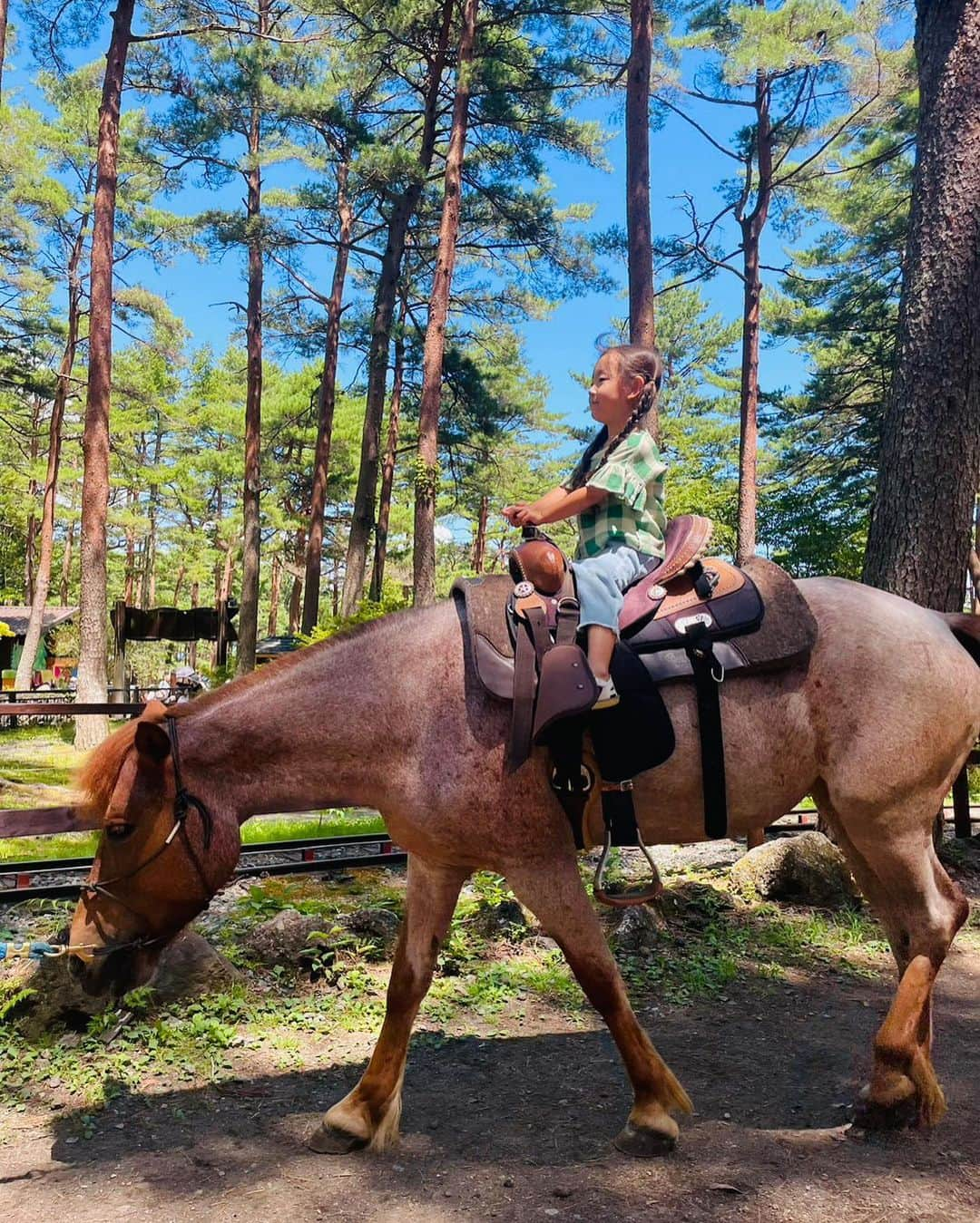 菊井彰子さんのインスタグラム写真 - (菊井彰子Instagram)「・ ・ 【富士すばるランドin山梨】 ママ達子連れ山梨旅行2泊３日。 帰る日に @fujisubaruland へ。  緑豊かなテーマパークの中に 様々な遊ぶエリアがあって 開放感たっぷりで楽しかった🌱🐎  ワンちゃん連れで遊べるエリアがあったり 立派なアスレチックもあるので 小学生くらいからは更にしっかり遊べそう🥰  動物が大好きな娘は大きなお馬さんに乗れてニンマリ♡ 本当に幸せそうで可愛いなと思った瞬間🥹 2歳から乗れたよ🐎  （朝👧髪の毛を片方は三つ編み、もう片方は三つ編みしないで😡という謎のこだわりを発揮してプンスカしてたとは思えない、しかし一日中この髪型だった🤣笑） #なんで   暑い中、青空の下で芝生に座ってみんなで食べた いちごかき氷が美味しすぎて忘れられないな〜🍧🍓  ・ ・ ・ #ワンオペ旅行  #富士すばるランド  #富士すばるランドの夏休み  #乗馬キッズ #子連れ旅行 #山梨旅行  #夏休みの過ごし方  #4歳女の子 #子供乗馬 #tinycottons」9月5日 15時48分 - yanakiku_kiku