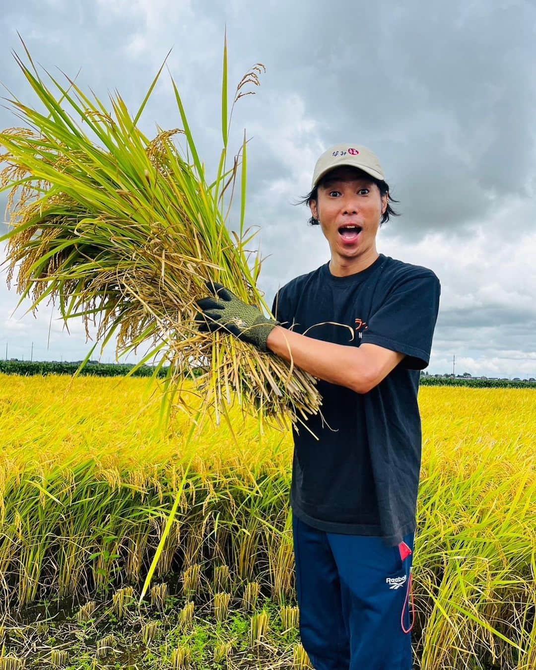 難波章浩さんのインスタグラム写真 - (難波章浩Instagram)「なみ福のチャーハンのお米を作って下さっている、田上町 @tagami_tourism_association の佐藤農園さん @satou.junichi に稲刈の体験をさせてもらいに行きました🌾🌾🌾  手で刈ると更に分かるお米の有り難み🙏🏻 美味しいチャーハンになりますように😊✨✨  #田上町 #佐藤農園 #なみ福」9月5日 15時51分 - akihironamba