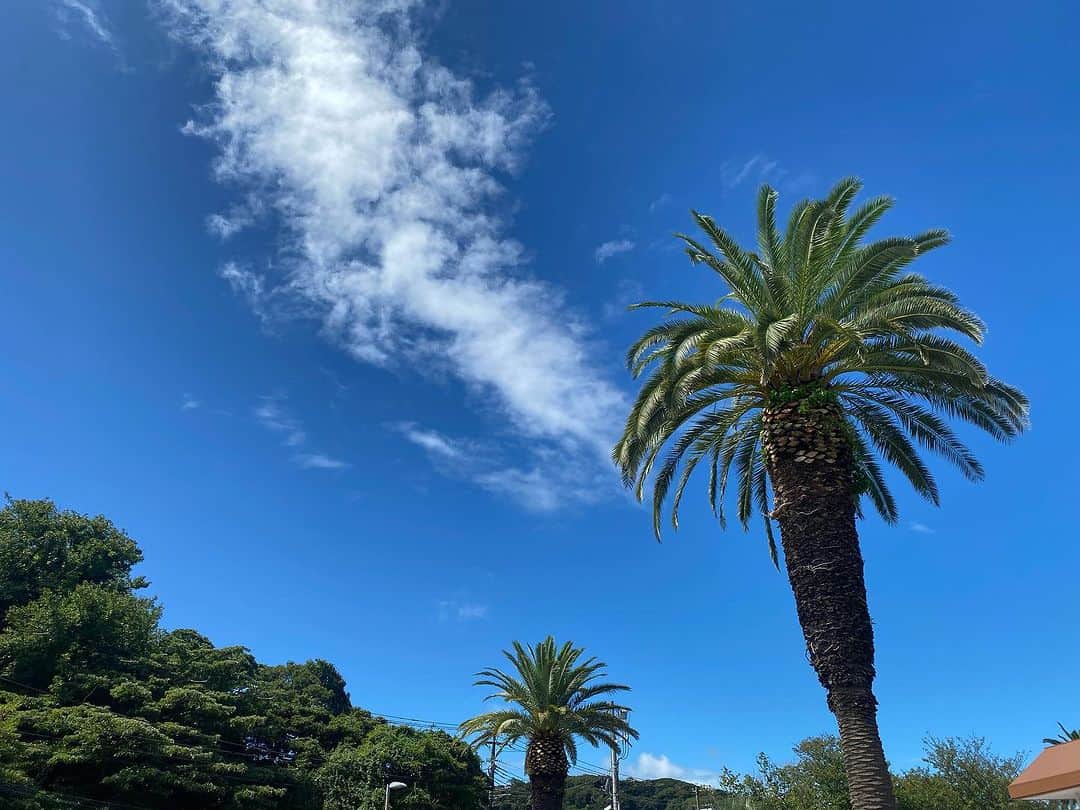 上野水香さんのインスタグラム写真 - (上野水香Instagram)「南の島にでも行きたくなるね。。  空と海って広くて、いろんな色にも表情にもなる。  夏の終わり。 なんか忘れ物したかな？笑  むしょうに海にいきたくなった日」9月5日 15時58分 - mizukaueno
