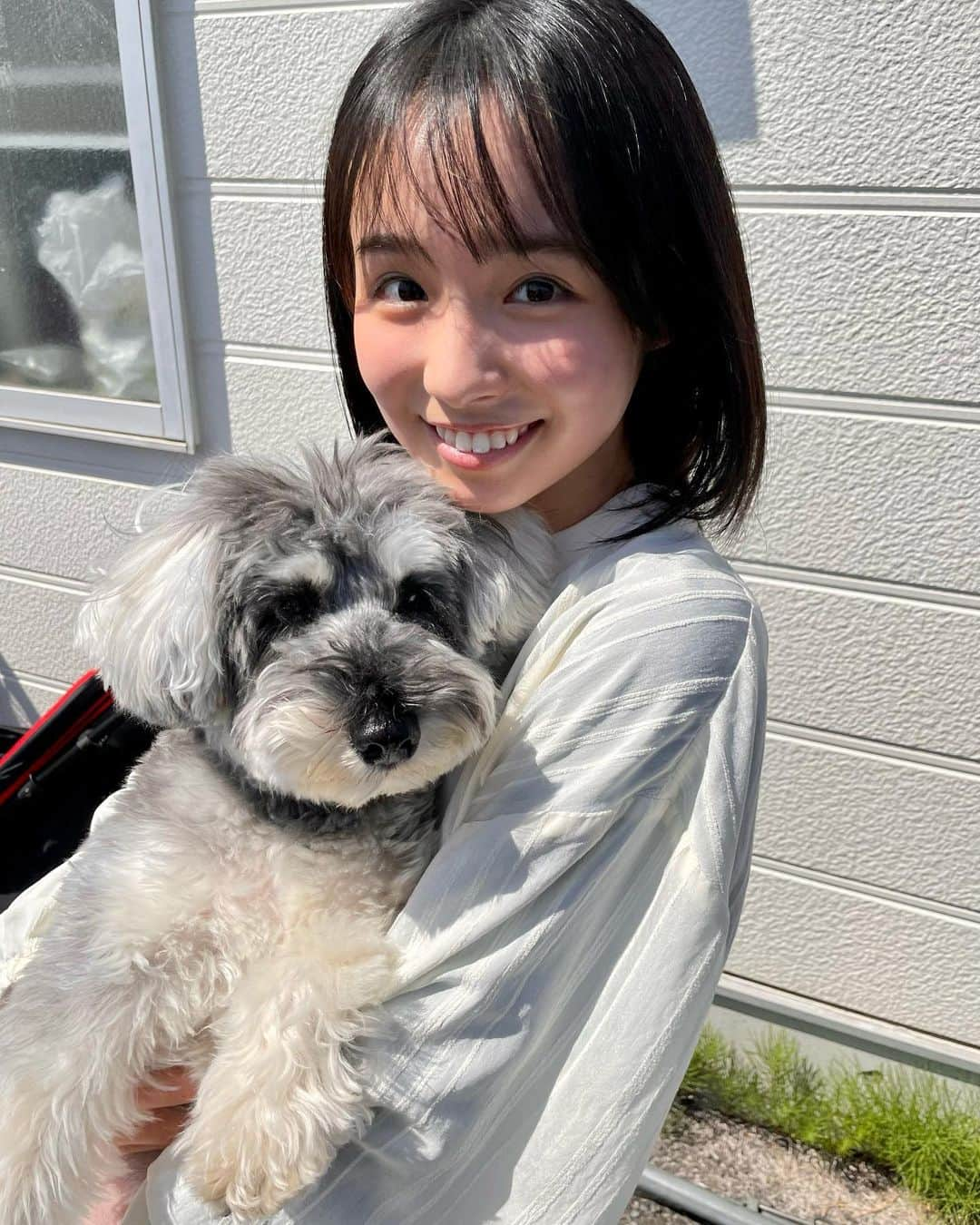 シッコウ!!〜犬と私と執行官〜のインスタグラム