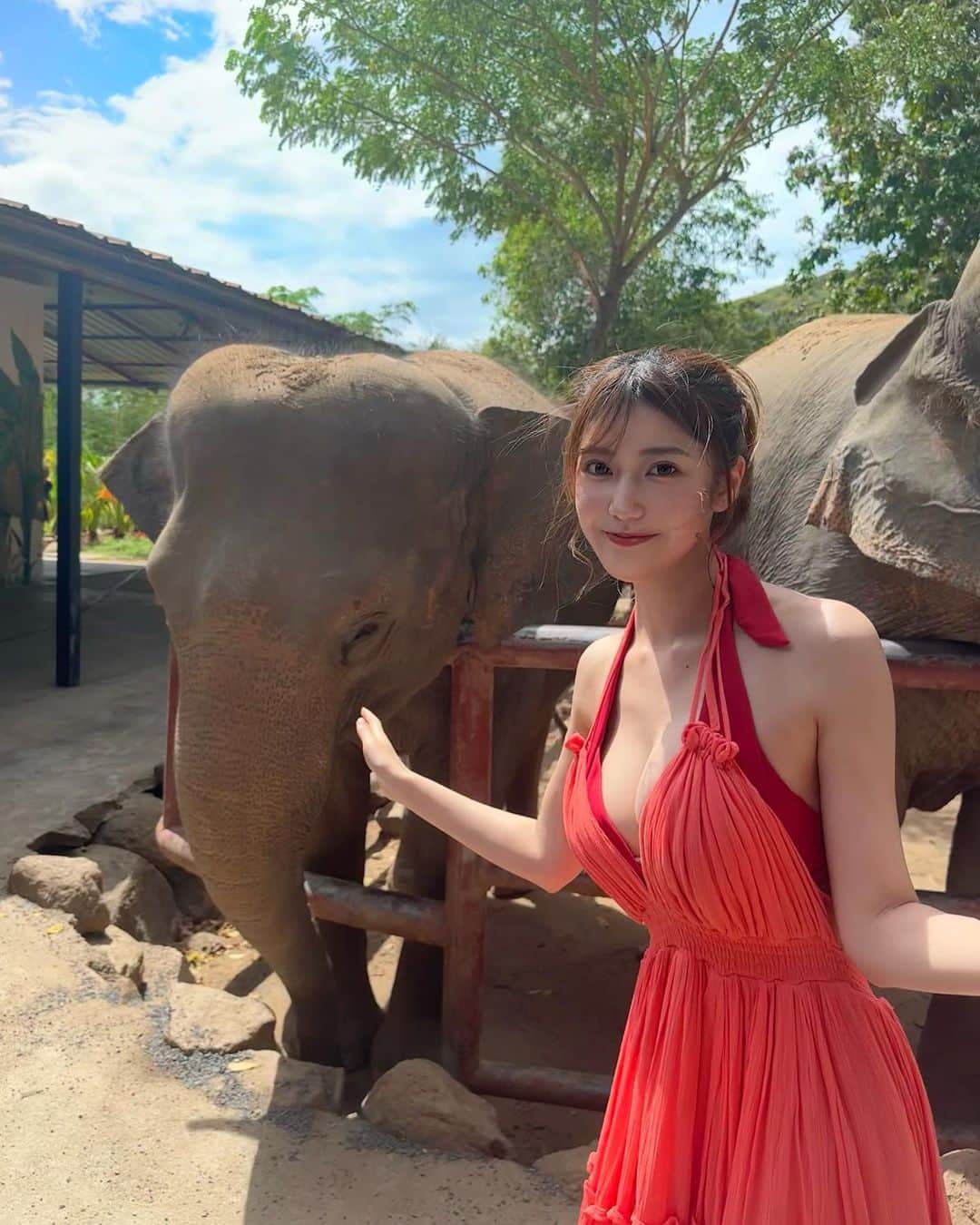 あべなつきさんのインスタグラム写真 - (あべなつきInstagram)「タイ旅行🐘🇹🇭🍉☀️🍹🌴  タイで買ったワンピースが 異国感があって、とびっきり可愛い👗🥰 現地でお洋服を調達するのって良いよね！タイのマーケットで買った🤫  ゾウと触れ合ったあとに、 アナンタラ・ラワナ・サムイ島リゾートというホテルでまったり〜🍹  蓮の葉が映えでした…☺️笑  #タイ #タイ旅行 #サムイ島」9月5日 18時00分 - i.am_natsuki_