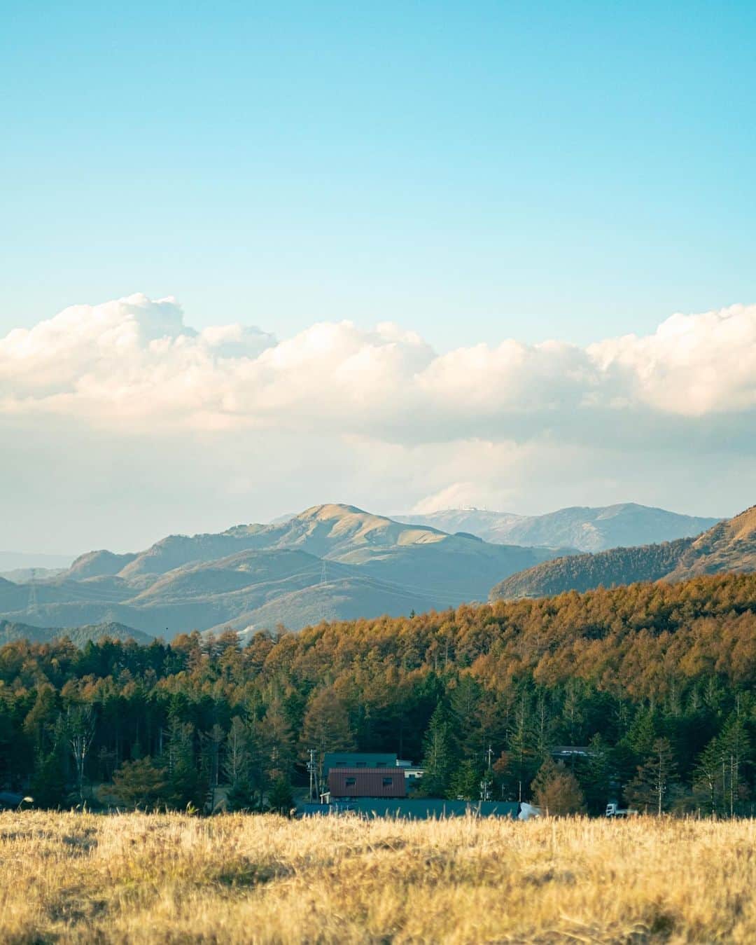 国分真央のインスタグラム：「. 今年も霧ヶ峰行きたいな🌾💭 ⁡」