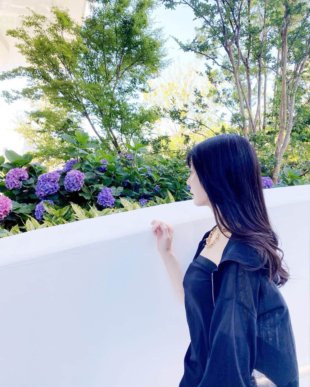 デコウトミリのインスタグラム：「紫陽花の季節の写真です🫐」