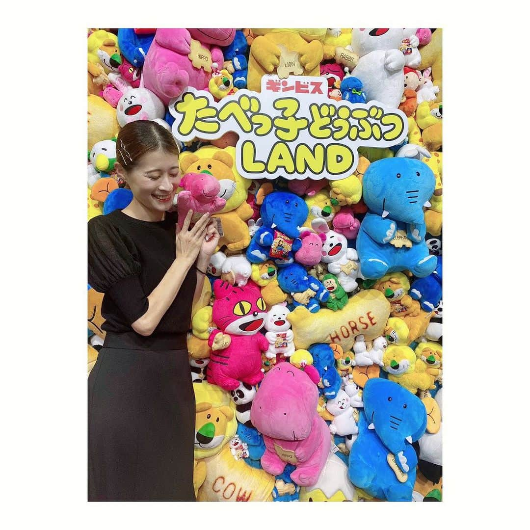 夢月せらさんのインスタグラム写真 - (夢月せらInstagram)「たべっ子どうぶつLAND🐰🐱🙈🐑 行ってきましたー！  推しのカバ🦛が登場する日って事で、可愛すぎるカバをたくさん堪能して参りました🤦‍♀️♥️  ランダムのアクリルキーホルダーを引いたらカバが当たって大喜びしたよこで、同じくカバ推しの相方はおサルさん🐒を引き「カバ…」と何とも言えない目で見られました。笑  リアルなカバ🦛可愛すぎたぁぁぁ😍😍😍」9月5日 18時28分 - seramutsuki