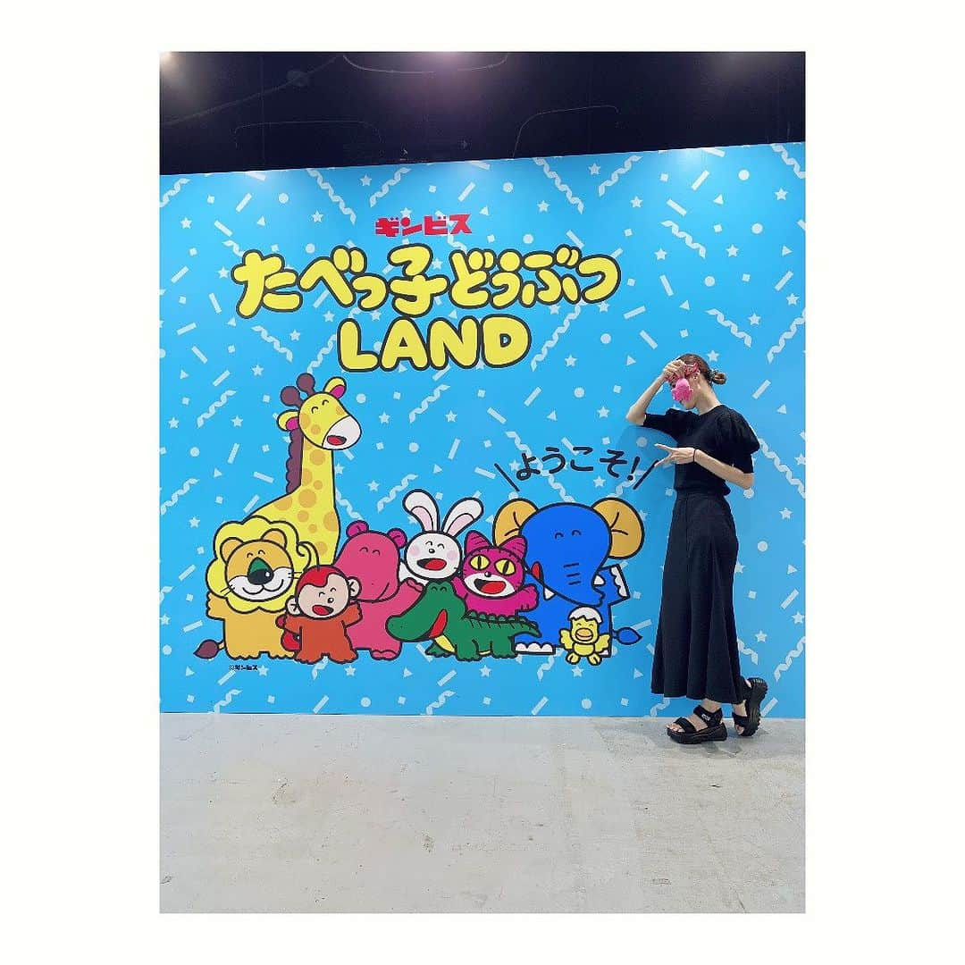 夢月せらさんのインスタグラム写真 - (夢月せらInstagram)「たべっ子どうぶつLAND🐰🐱🙈🐑 行ってきましたー！  推しのカバ🦛が登場する日って事で、可愛すぎるカバをたくさん堪能して参りました🤦‍♀️♥️  ランダムのアクリルキーホルダーを引いたらカバが当たって大喜びしたよこで、同じくカバ推しの相方はおサルさん🐒を引き「カバ…」と何とも言えない目で見られました。笑  リアルなカバ🦛可愛すぎたぁぁぁ😍😍😍」9月5日 18時28分 - seramutsuki