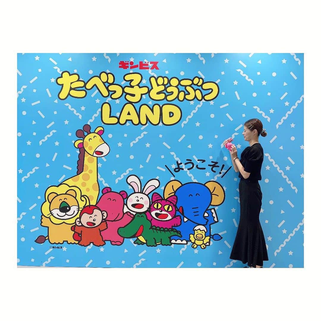 夢月せらのインスタグラム：「たべっ子どうぶつLAND🐰🐱🙈🐑 行ってきましたー！  推しのカバ🦛が登場する日って事で、可愛すぎるカバをたくさん堪能して参りました🤦‍♀️♥️  ランダムのアクリルキーホルダーを引いたらカバが当たって大喜びしたよこで、同じくカバ推しの相方はおサルさん🐒を引き「カバ…」と何とも言えない目で見られました。笑  リアルなカバ🦛可愛すぎたぁぁぁ😍😍😍」