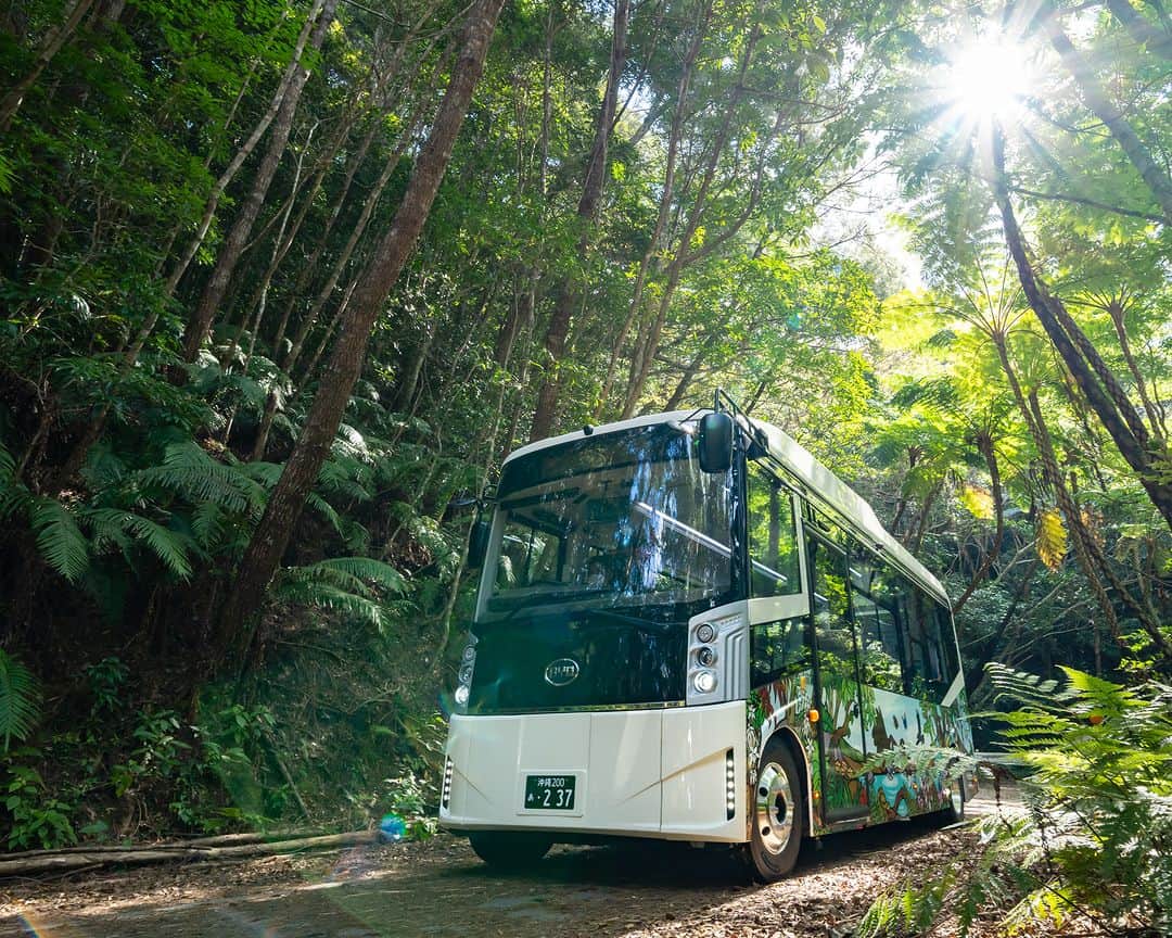 Okinawa Marriott Resort & Spa 【公式】のインスタグラム：「ヤンバルクイナに会いに行きませんか？ ネイチャーガイドとともに、EVバスでやんばるの森を巡る旅！  世界自然遺産に登録されたやんばるの森を、 CO2排出ゼロのEVバス（電気バス）で巡る ツアーが登場しました。  ここにしか生息していない 「ヤンバルクイナ」などの 希少な動物に遭遇できるかも？！  世界が認めた奇跡の森を、 ぜひこの機会に体験してみてはいかがでしょう？  プランについて詳しくは、  @okinawa.oriental.hotel プロフィールから ウェブサイトをご確認ください。  Would you like to see a Yambaru Kuina or tour the Yambaru forest on an eco-friendly bus with a nature guide?  The Yambaru forest is registered as a Natural World Heritage Site and this tour allows you to experience it from a bus that emits zero CO2 emissions. You will have the opportunity to encounter both plant and animal species such as the Okinawan Rail which are found only in northern Okinawa.  This is a great chance to enjoy a unique environmental space that will also be educational.  #やんばるツアー #沖縄ネイチャーガイド #沖縄 #okinawa #やんばる #yanbaru  #沖縄旅行 #okinawatrip #沖縄観光 #名護  #沖縄大好き #家族旅 #女子旅  #女子旅行 #夫婦旅行 #記念日旅行  #沖縄ホテル #リゾートホテル  #オリエンタルホテル沖縄 #orientalhotelokinawa  #オリエンタルホテル #orientalhotel #ikyu_travel #funnightatresort」