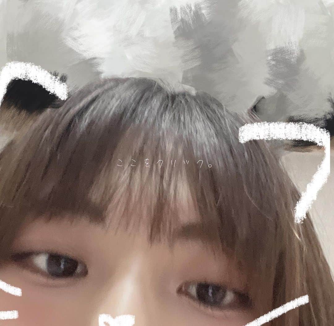桜ひなのさんのインスタグラム写真 - (桜ひなのInstagram)「なでろってこと(？) ⁡ ⁡ ⁡ ⁡  #kawaii  #cute  #lovely  #cat」9月5日 19時55分 - hinano_sakura_official