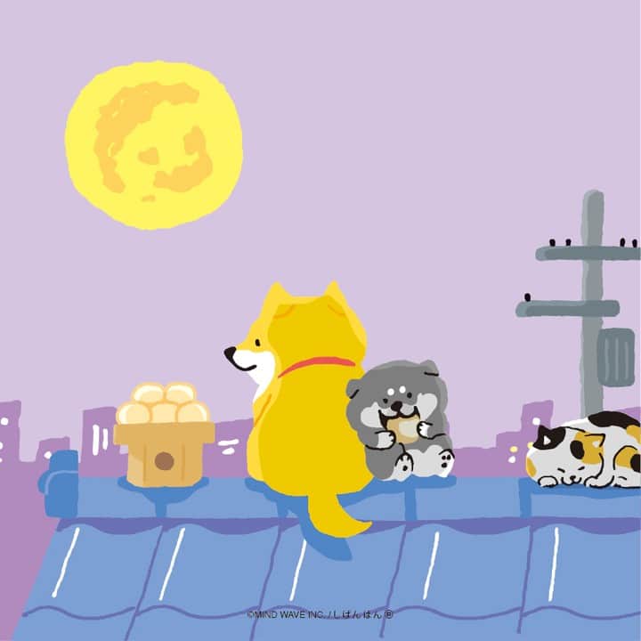 オオゴシヤステルのインスタグラム：「#今日のしばんばん  どうやってここに来たのか 分からない🌕  #しばんばん #shibanban #むちころばんばん #muchicorobanban #微笑柴犬 #マインドウェイブ #mindwave #オオゴシヤステル #柴犬 #しばいぬ #sibainu #イラスト #お月見 #2023年は9月29日 #十五夜」