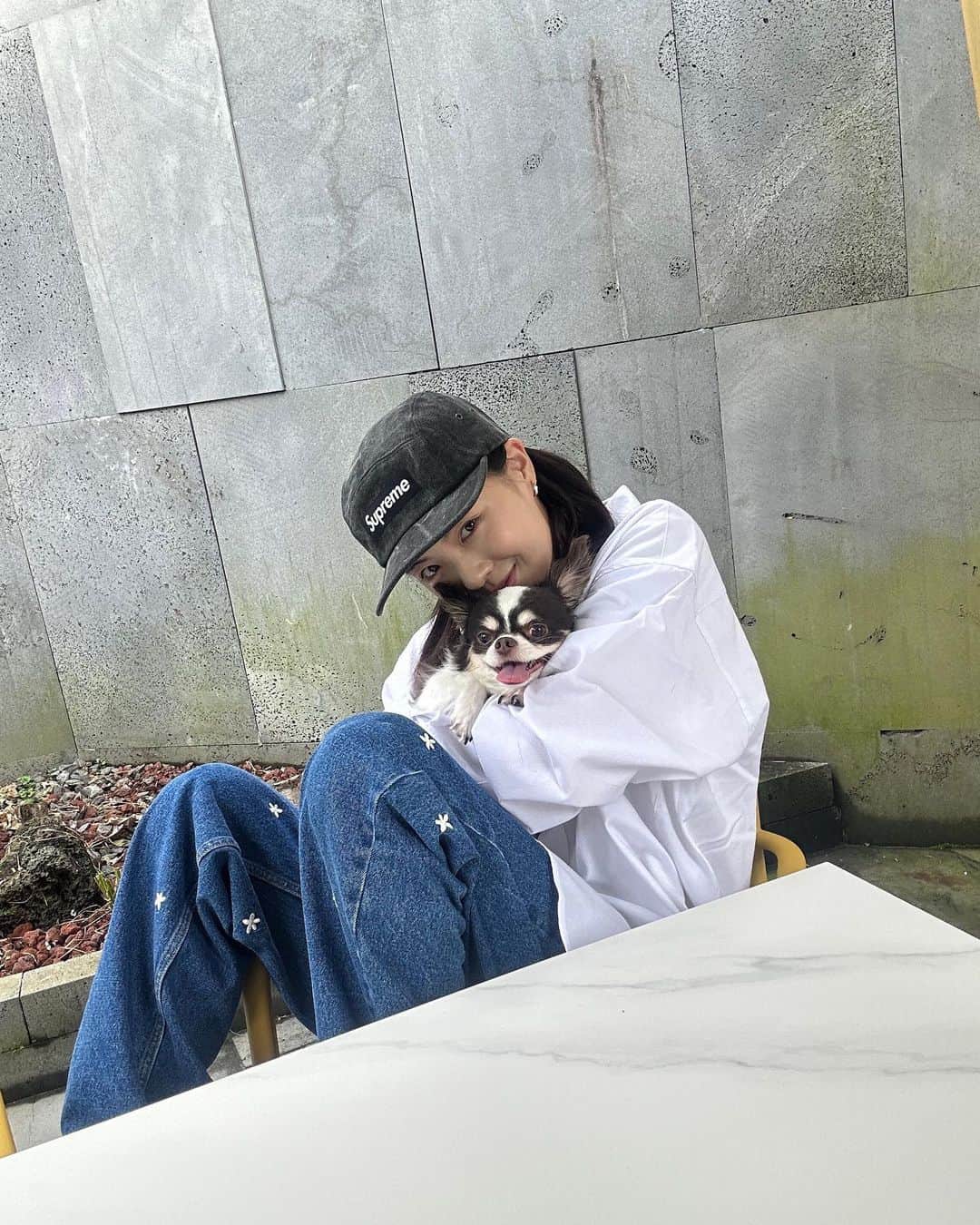 のインスタグラム：「❤️💙🐶💜💛」