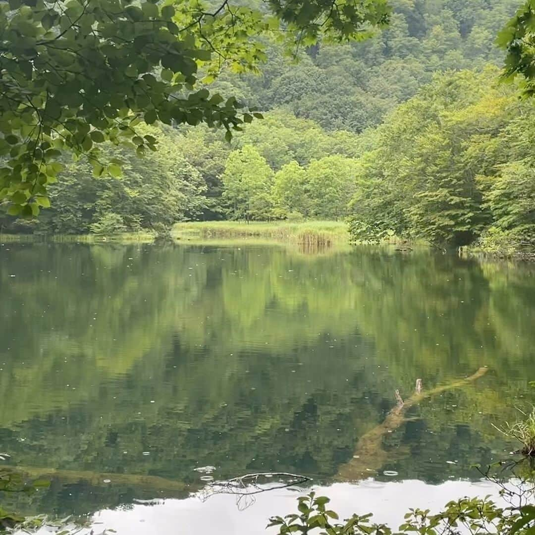 満島ひかりのインスタグラム