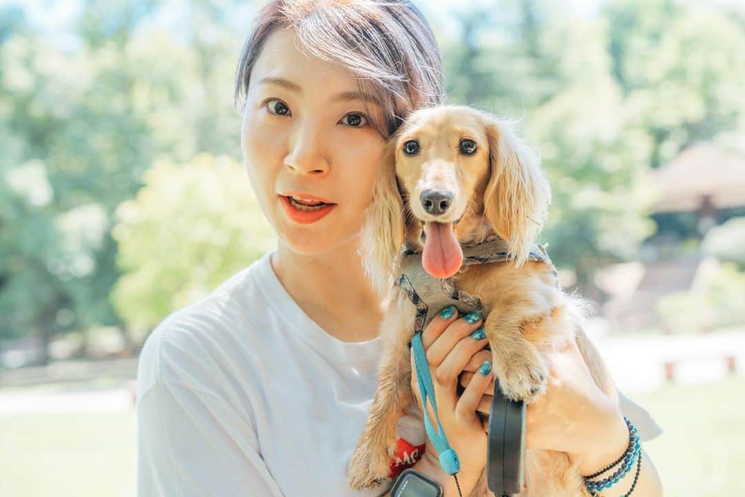 のインスタグラム：「ルナちゃん   #私のイッヌ  #ミニチュアダックス  #ミニチュアダックスフンド」