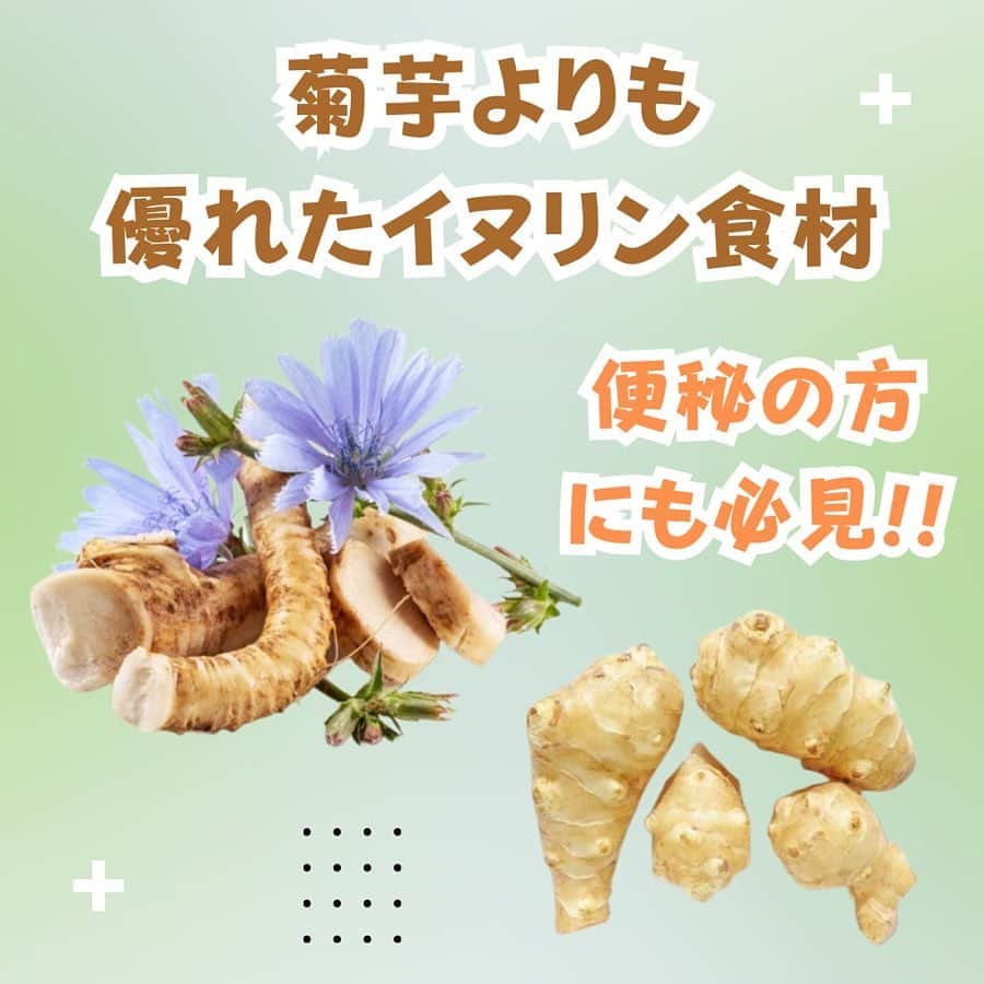 村上雄大【オーガニックサラリーマン】のインスタグラム：「【菊芋よりも優れたイヌリン食材】 スクール生やサロンメンバーからも多くご質問をいただいたり、ライブ配信でもよくある質問で、また最近よく聞かれるようになりました。この記事ではプロの栄養パーソナルトレーナーとして、栄養の観点からみた僕の見解を記しておきます🌏  菊芋は炭水化物がある程度含まれていますが、その多くはイヌリンという特殊な食物繊維であり、通常の糖類とは異なる影響を体に与えるとされていて、一般的に注目されています。もちろん、これは一般的にはとても良い食材だということを前提において話していきます。  ✅菊芋について 学術名は「Helianthus tuberosus」 この植物はひまわり属の多年草でキク科に分類され、北アメリカが原産地です。現在では世界中で栽培されています。根茎が食用になるため、その部分を特に利用することが多いです。  ✅一般的に謳われていること  ・糖質の吸収抑制 イヌリンは急激な血糖値の上昇を防ぐ可能性があるとされており、糖尿病患者にとって有用とされています。その背景から最近菊芋の製品が増えている。  ・腸内環境に良い イヌリンはプレバイオティクスとして働き、善玉菌を増やすことが研究でも示されている。  ⚠️注意点  ・消化不良 イヌリン自体は一部の人々においてガス膨満感や下痢を引き起こす可能性があります。  ・糖質の存在 菊芋100gには糖質が10g含まれるため、糖尿病患者の場合は一般的な効果を過剰に期待して、菊芋を過剰に摂取しないよう注意が必要です。日本の一般的な基準では低糖質の部類に入るには100g中5g以下とされています。💡この数値は糖質制限ダイエットや糖尿病患者の食事療法など、特定の健康目的で糖質を制限する際の目安としてよく用いられます  菊芋自体の糖質の量を考慮しても、少量なら全然問題ないので、血糖値管理のところだけに考慮して食べるとしたら、1食拳1個分であれば大きな影響を与える心配はないはずです。しかし、糖尿病の方はお医者さんと相談しながら、摂取量を決める必要があると思います。  ✅イヌリンが含まれる食材について  一種の水溶性食物繊維でプレバイオティクスとして知られています。以下はイヌリンを含む各食材の炭水化物、糖質、食物繊維、GI値、およびGL値を総合したおおよそのリストです。  ✍️これらの数値は一般的なガイドラインでソースによっては多少のバラツキがあり、栽培方法や品種、産地などによっても変動はあります。*100gあたりの計算  ・菊芋 炭水化物:約15〜17g 糖質:約10g イヌリン:約16g 食物繊維:約1.6〜2g GI値:明確な数値は不明で低GIされている GL:低GLが予想される  ・チコリ根 炭水化物:約10.5〜18g 糖質:約4g イヌリン:約36〜48g 食物繊維:約4g GI:明確な数値は不明で低GIが予想される GL:低GLが予想される  ・アガべ(シロップとして考える) 炭水化物:約76g 糖質:約68g イヌリン:変動あり、製法次第ですが極めて少ない 食物繊維:かなり少なく、ほぼ0に近い GI:約15〜30 GL:高GLが予想される  ・バナナ 炭水化物:約23g 糖質:約12g イヌリン:約0.5g 食物繊維:約2.6g GI:約48〜52 GL:約11〜12  ・にんにく 炭水化物:約26〜33g 糖質:約1g イヌリン:約5〜16g 食物繊維:約2〜4g GI:低い(具体的な数値は不明) GL:低い  ・玉ねぎ 炭水化物:約9g 糖質:約4.2g イヌリン:約2〜6g 食物繊維:約1.5〜2g GI:約10〜15 GL:低い  💡糖尿病の方は菊芋やこれら他の食材を摂取する場合、この糖質量を考慮に入れ、日々の血糖値管理と全体的に照らし合わせるとより良いと思います  続きはオーガニックブログで掲載しています🆙プロフのリンクからチェックしてみてください🔗  #オーガニックサラリーマン #オーガニック栄養学 #オーガニックブログ #菊芋 #イヌリン」