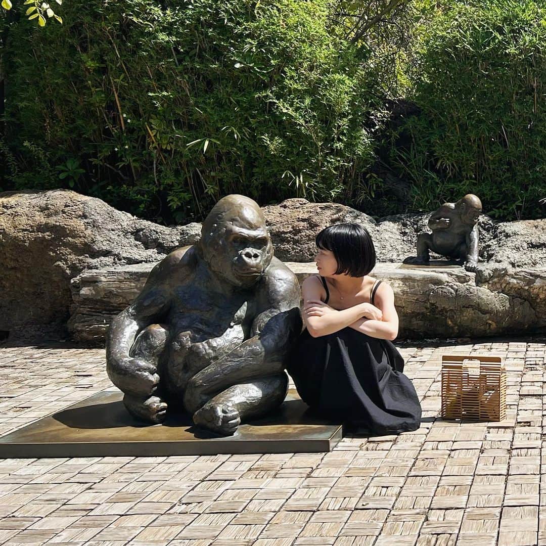 平井珠生さんのインスタグラム写真 - (平井珠生Instagram)「ゴリラと話し合った時の写真。」9月5日 20時19分 - tamao_hirai