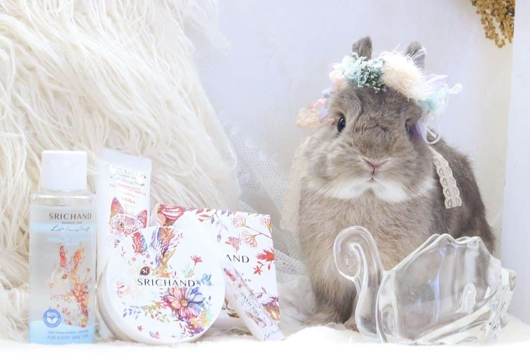 yun.ゆんのインスタグラム：「sugar.🫧 とってもキレイなお花のうさぎさんでしゅよ。🐇💐✨ . . . . . 灼熱の国タイでも溶けないフェイスパウダー☀️ で有名な、タイの漢方薬局発コスメブランド SRIBHAND（シーチャン） @srichand_japan   水彩画のアーティスト タケダヒロキさん（@hiroki_takeda1223 ）の描く、透明感のあるうさぎ、猫のパッケージで、コラボ限定セットとして販売です。 🐇🐈✨🌼  お試しさせてもらったフェイスパウダー。 高温多湿に強くきめ細やかで崩れず長持ち、使い心地抜群です。✨  コンシーラーも自然なのにしっかりしたカバー力で、気になるしわシミも隠れました。 🙆‍♀️😂  ✴︎ベア パーフェクト トランスルーセントコンパクトパウダー ✴︎ルミネッセンス ファビュラス UV シールド ✴︎スキン エッセンシャル コンシーラー120 ✴︎スキン リファイニング ミセラー クレンジングウォーター  ☝︎以上4点がセット内容 . . . このコラボアイテムは 9月7日(木)12時より先行予約開始 9月20日（水）12時より限定発売  ✴︎公式ECサイト「JFラボコスメ」にて発売 https://www.cosmelabo.shop/srichand  先行予約でご購入いただいた方には、先着でシーチャンオリジナルフェイスブラシをプレゼント。🎁  ※1回のご注文に１点。 ※カラーはランダムです。 . . ✅ ⚪︎動物実験をしていないSRICHANDコスメ。 ⚪︎動物実験の廃止に向けて 今回の限定アイテムの売り上げの10%は寄付されます。 . . 詳しくは @srichand_japan  の投稿をチェックしてみてください。☀️ . . . ♪ ♪ ♪ #動物実験していないシーチャン #hirokitakedaxSRICHAND #SRICHAND  #シーチャン  #タケダヒロキ #動物愛護週間 #うさぎ #限定コスメ」